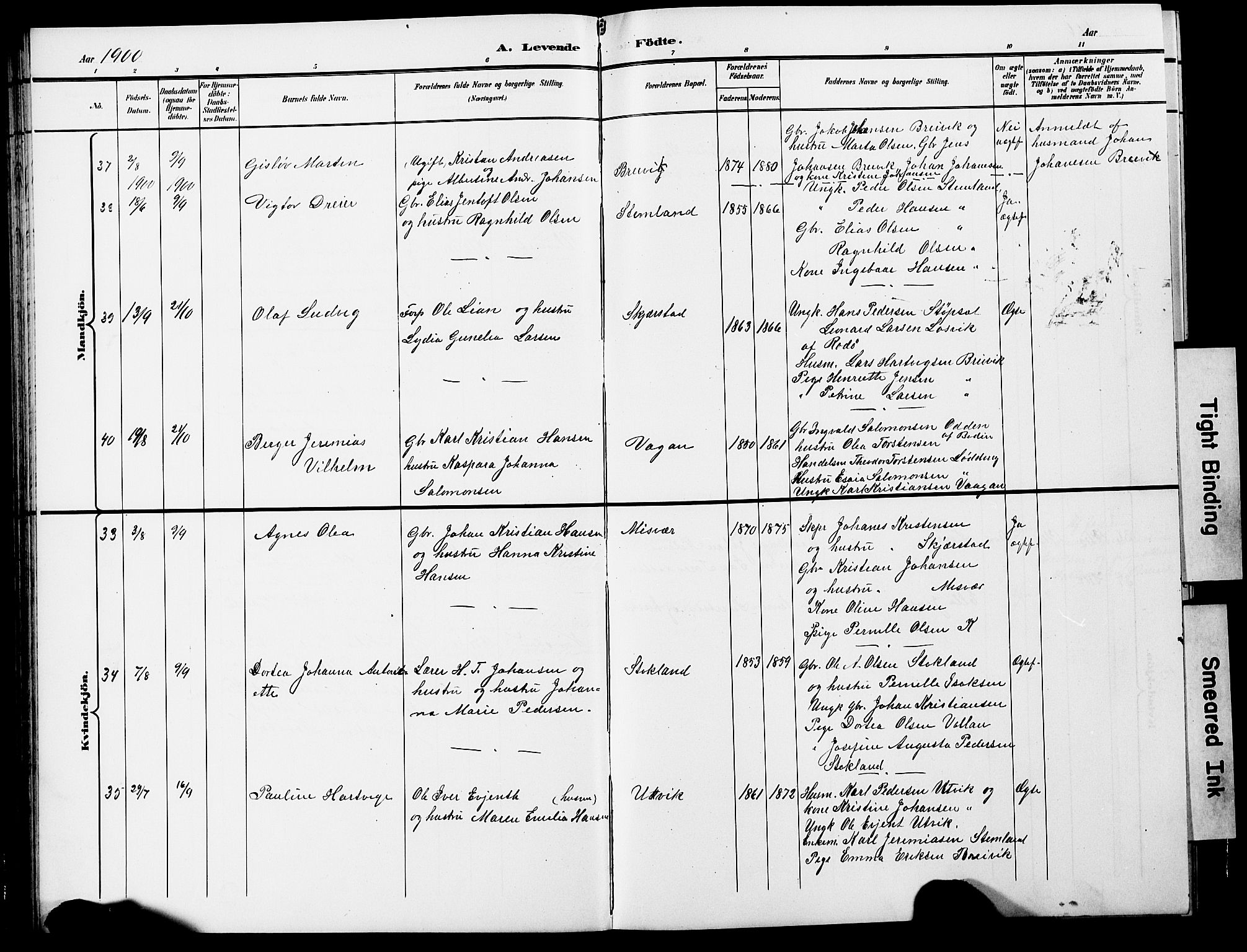 Ministerialprotokoller, klokkerbøker og fødselsregistre - Nordland, AV/SAT-A-1459/852/L0755: Parish register (copy) no. 852C06, 1895-1902