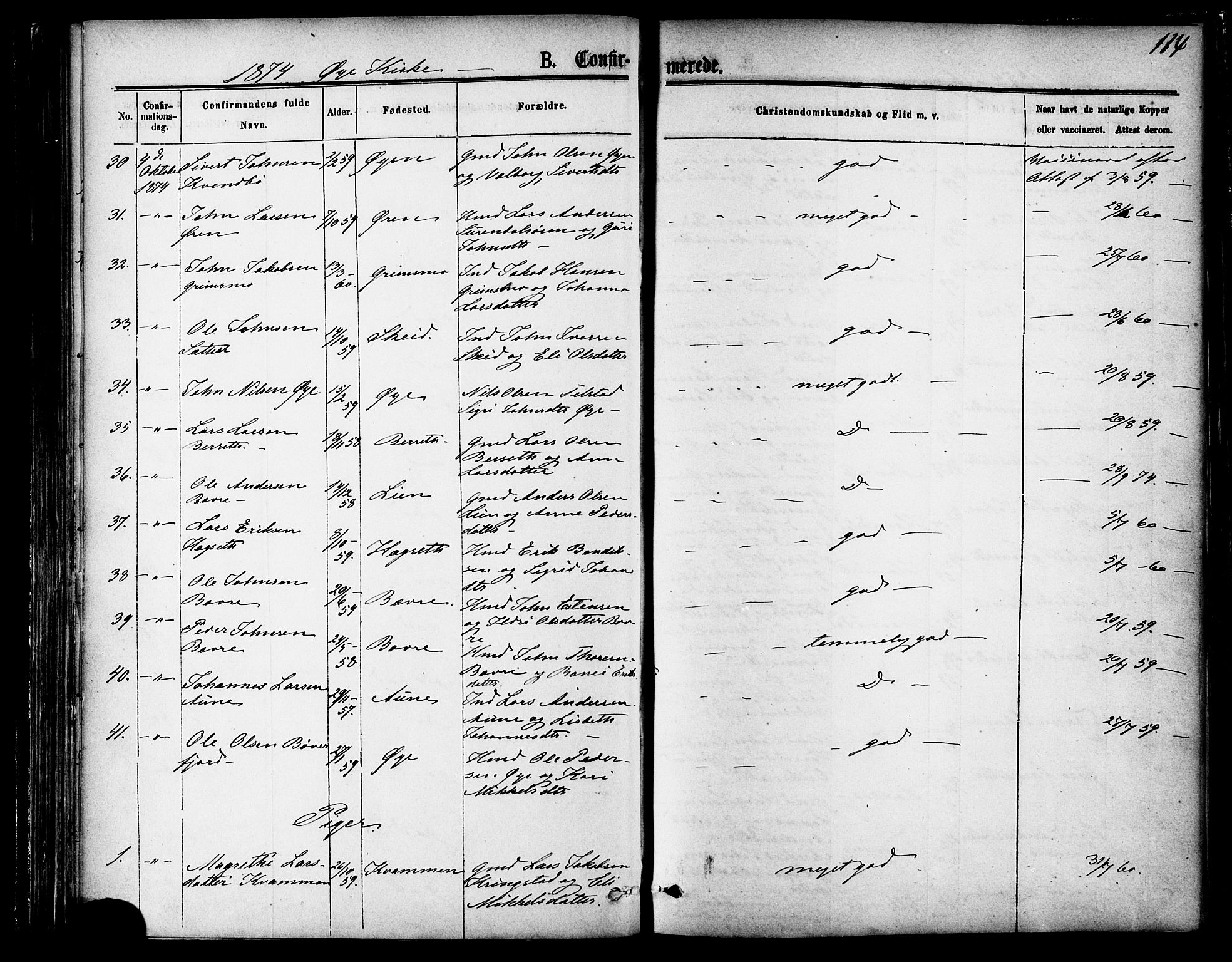 Ministerialprotokoller, klokkerbøker og fødselsregistre - Møre og Romsdal, AV/SAT-A-1454/595/L1046: Parish register (official) no. 595A08, 1874-1884, p. 114