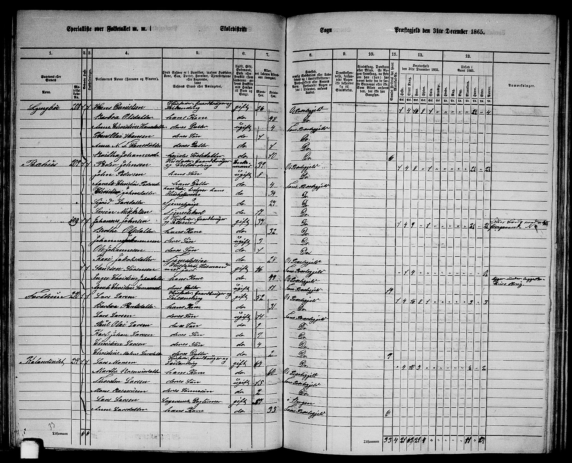 RA, 1865 census for Fana, 1865, p. 81