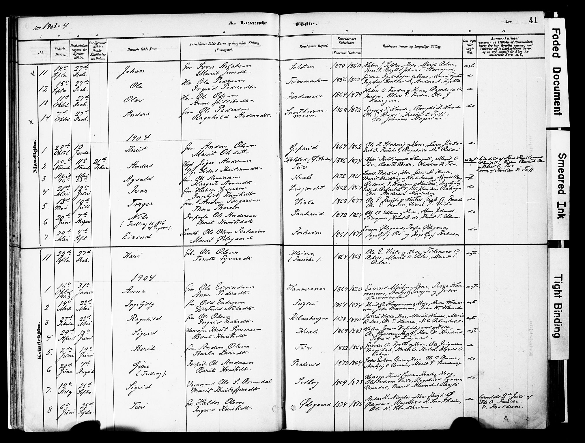 Vestre Slidre prestekontor, SAH/PREST-136/H/Ha/Haa/L0006: Parish register (official) no. 6, 1881-1912, p. 41