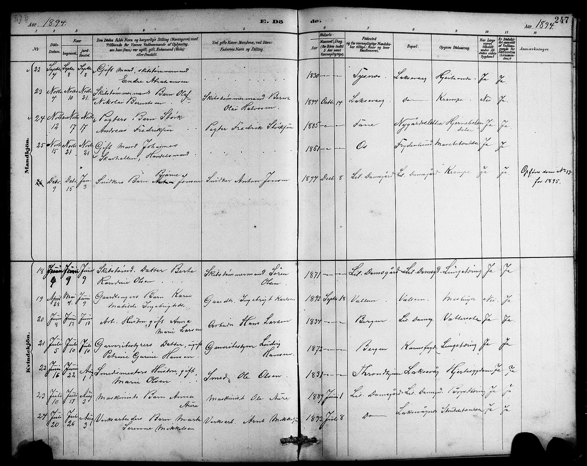 Laksevåg Sokneprestembete, AV/SAB-A-76501/H/Ha/Hab/Haba/L0003: Parish register (copy) no. A 3, 1887-1899, p. 247