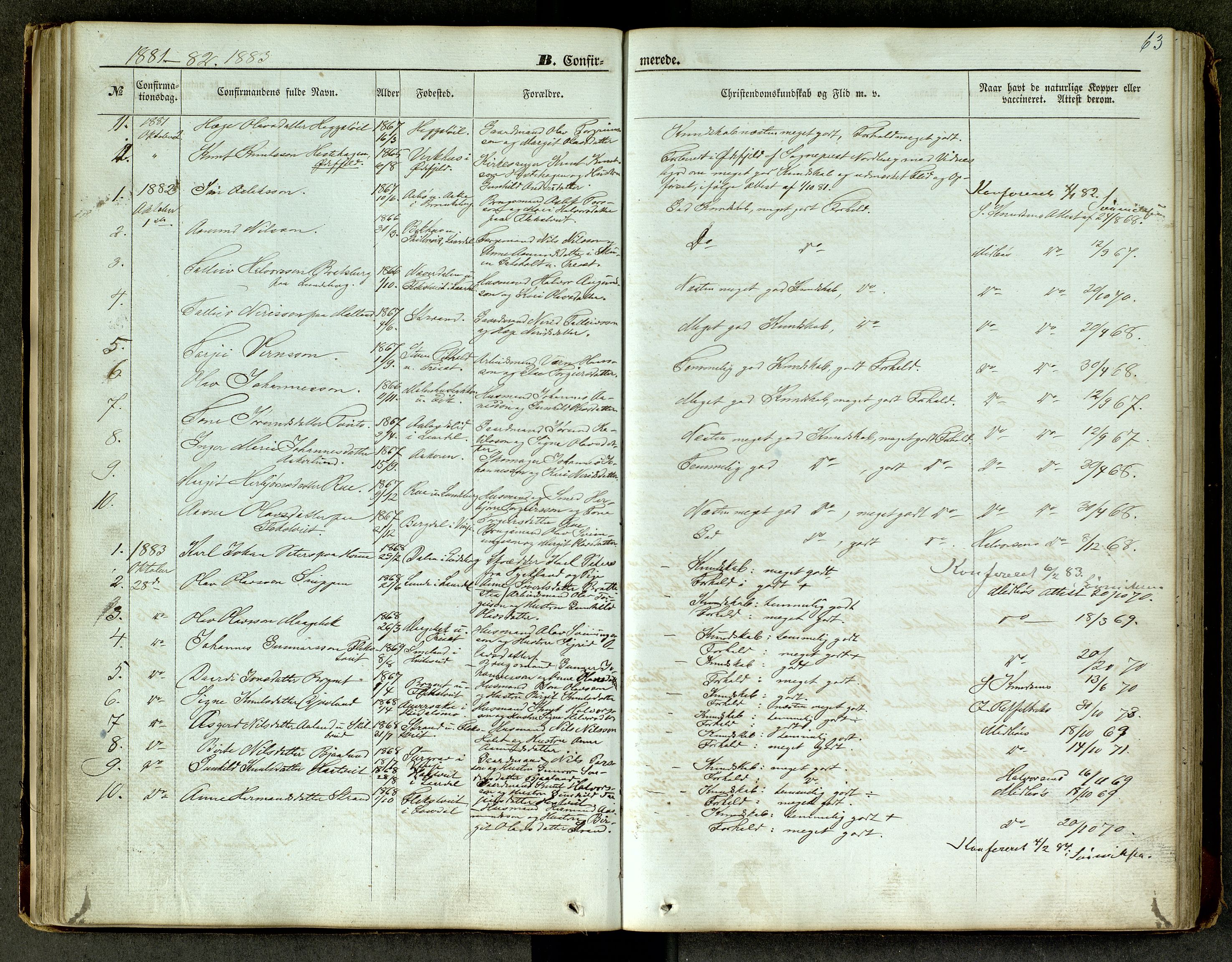Lårdal kirkebøker, SAKO/A-284/G/Ga/L0002: Parish register (copy) no. I 2, 1861-1890, p. 63