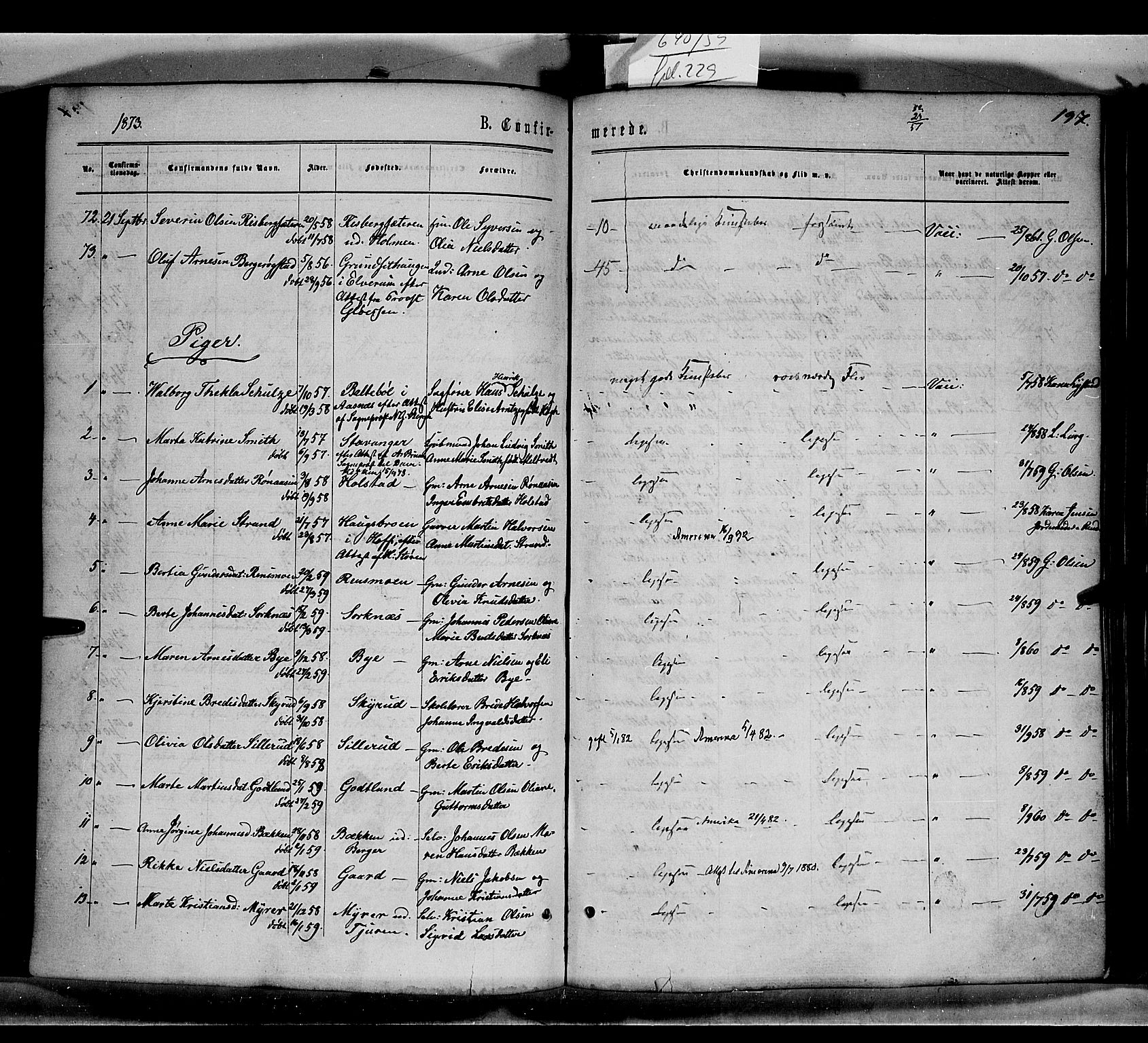 Grue prestekontor, AV/SAH-PREST-036/H/Ha/Haa/L0010: Parish register (official) no. 10, 1864-1873, p. 197