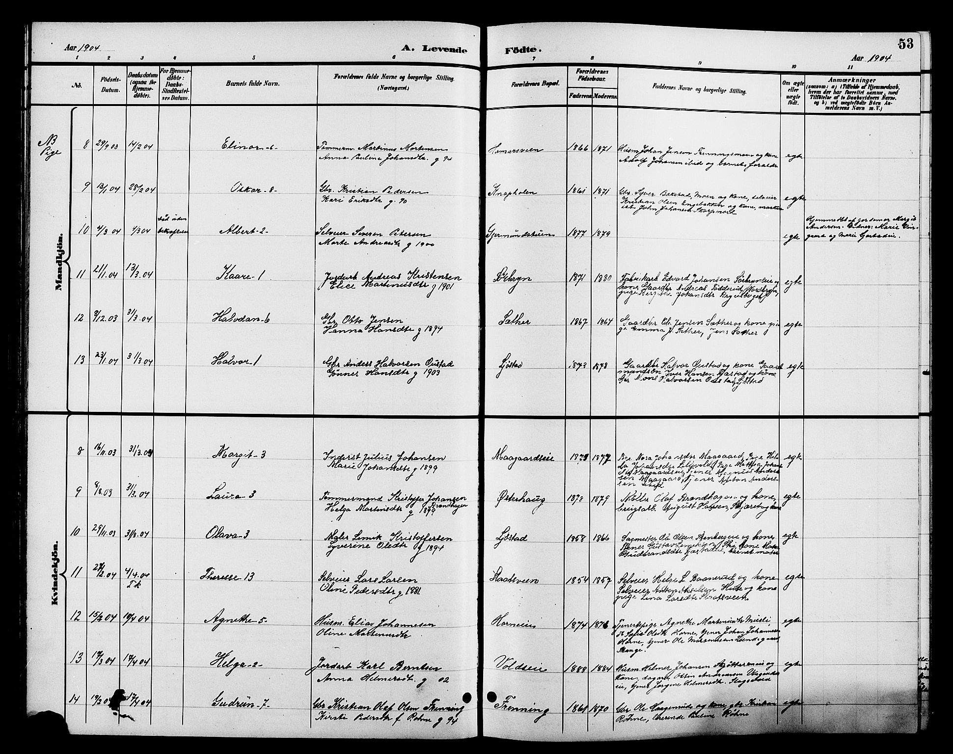 Romedal prestekontor, SAH/PREST-004/L/L0012: Parish register (copy) no. 12, 1896-1914, p. 53