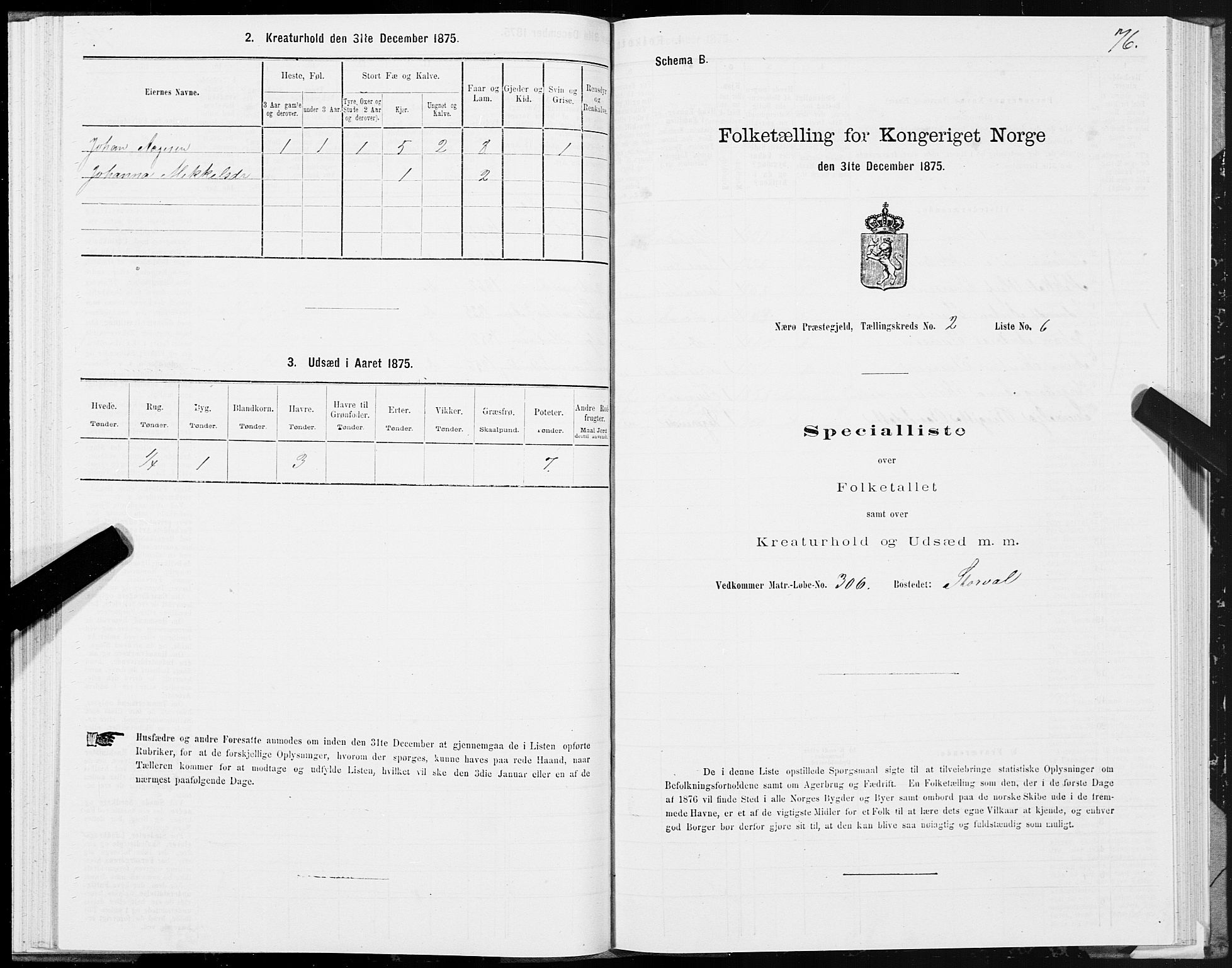SAT, 1875 census for 1751P Nærøy, 1875, p. 1076