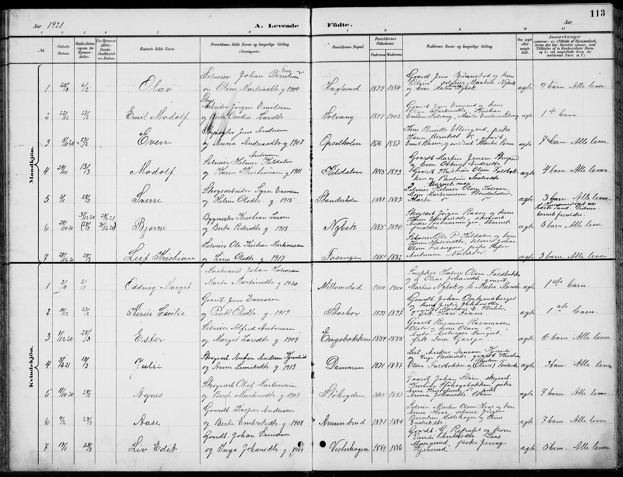 Romedal prestekontor, AV/SAH-PREST-004/L/L0013: Parish register (copy) no. 13, 1896-1937, p. 113