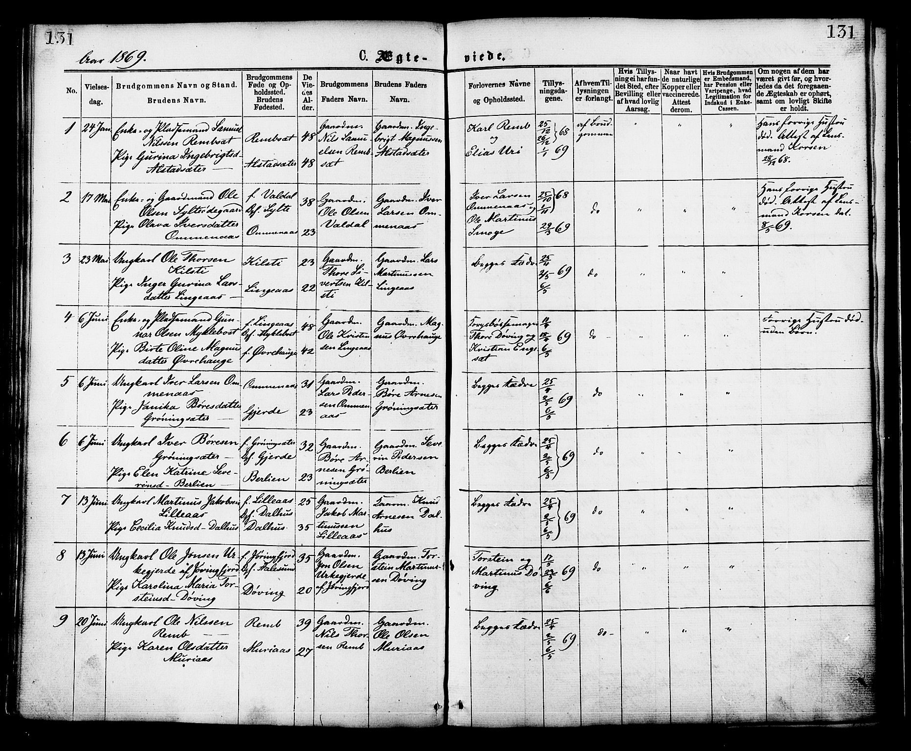 Ministerialprotokoller, klokkerbøker og fødselsregistre - Møre og Romsdal, SAT/A-1454/519/L0254: Parish register (official) no. 519A13, 1868-1883, p. 131