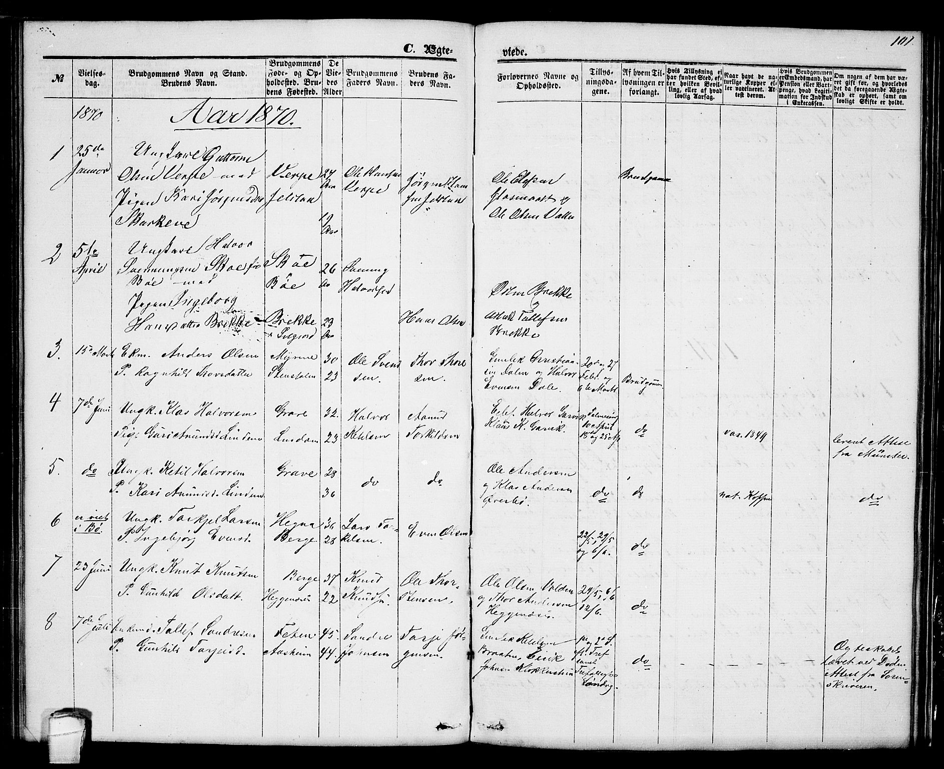 Seljord kirkebøker, SAKO/A-20/G/Ga/L0003: Parish register (copy) no. I 3, 1866-1873, p. 101