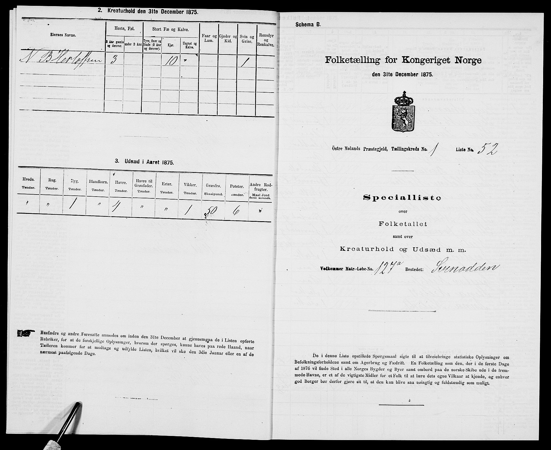 SAK, 1875 census for 0918P Austre Moland, 1875, p. 217