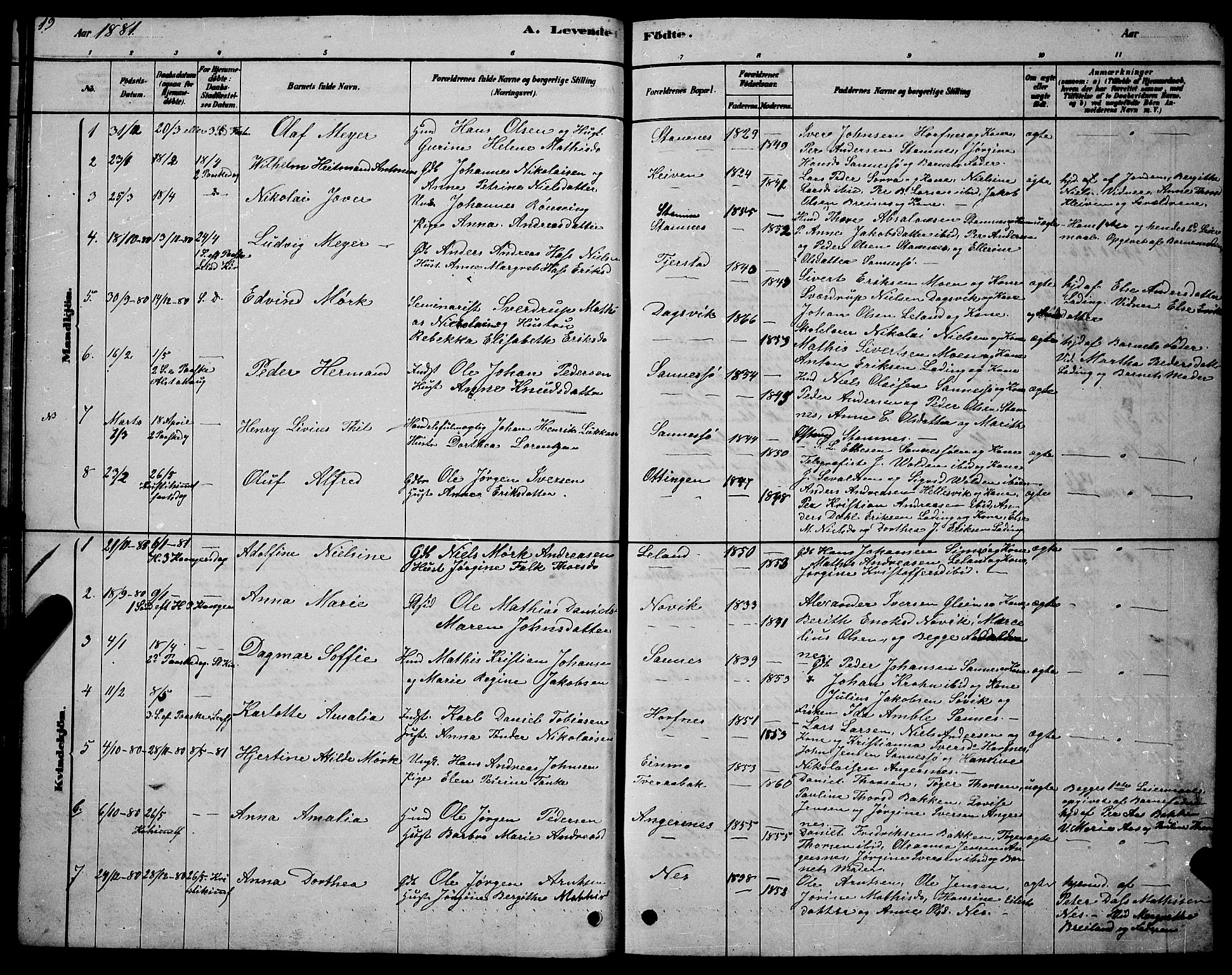 Ministerialprotokoller, klokkerbøker og fødselsregistre - Nordland, SAT/A-1459/831/L0477: Parish register (copy) no. 831C04, 1878-1897, p. 19