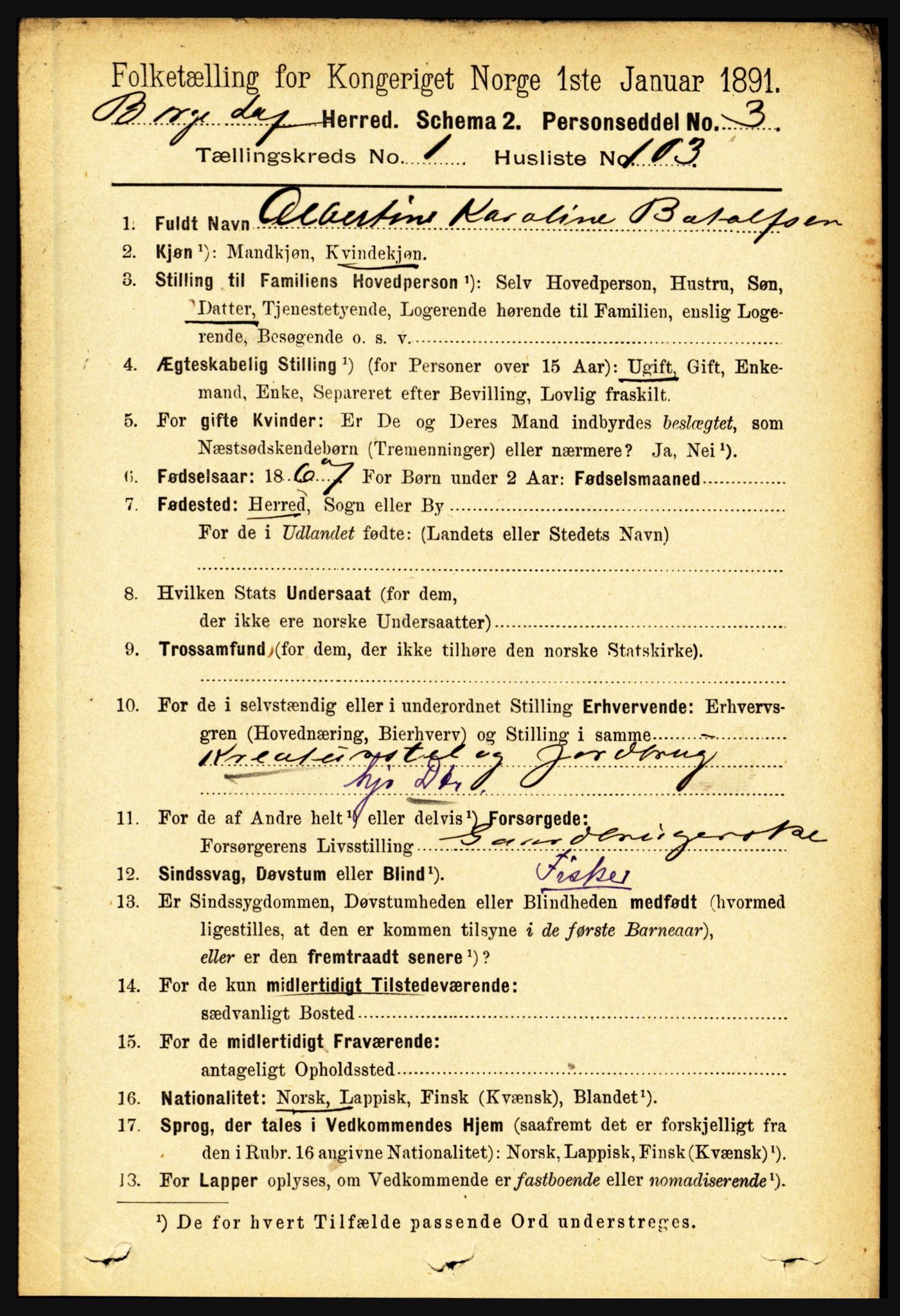 RA, 1891 census for 1862 Borge, 1891, p. 834