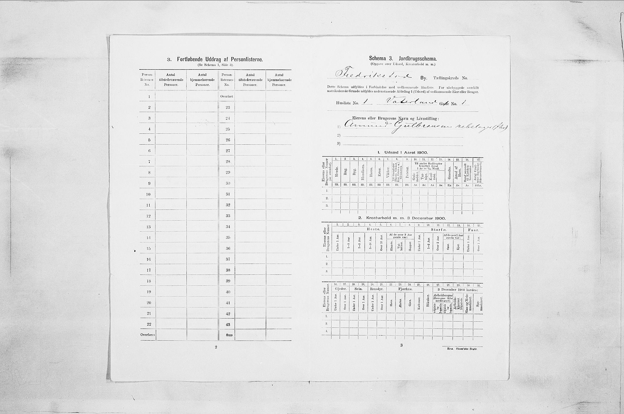 SAO, 1900 census for Fredrikstad, 1900