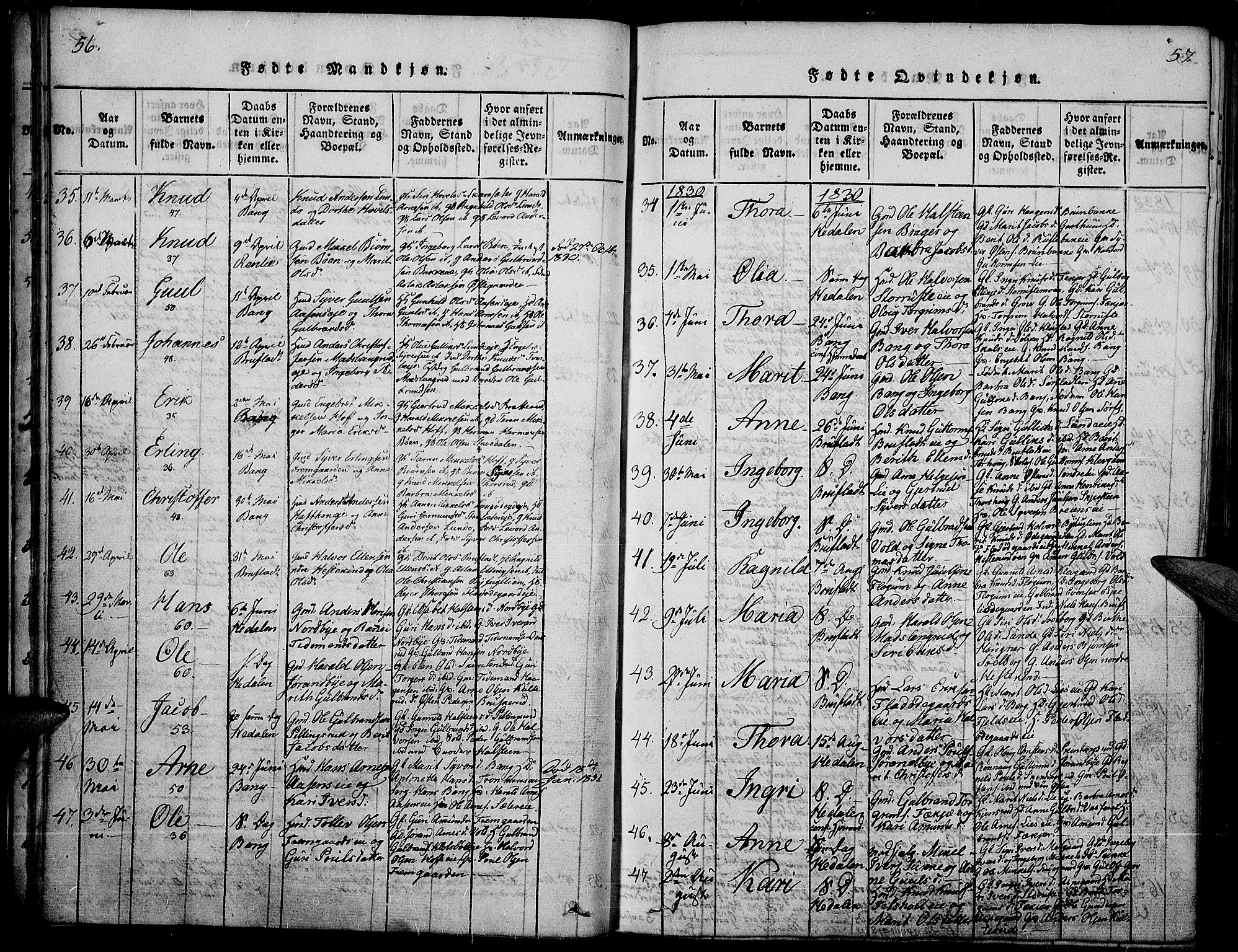 Sør-Aurdal prestekontor, SAH/PREST-128/H/Ha/Haa/L0003: Parish register (official) no. 3, 1825-1840, p. 56-57
