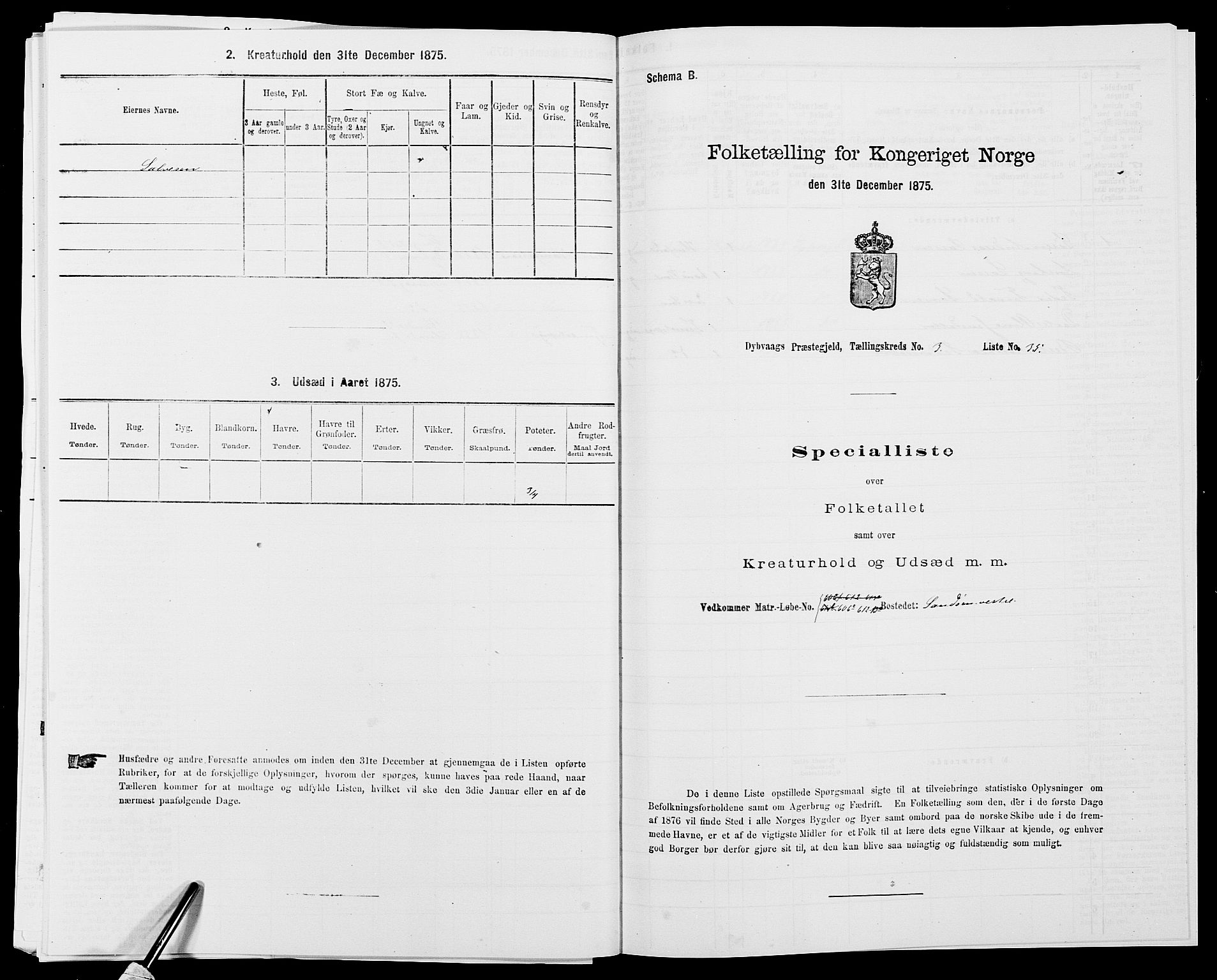 SAK, 1875 census for 0915P Dypvåg, 1875, p. 326