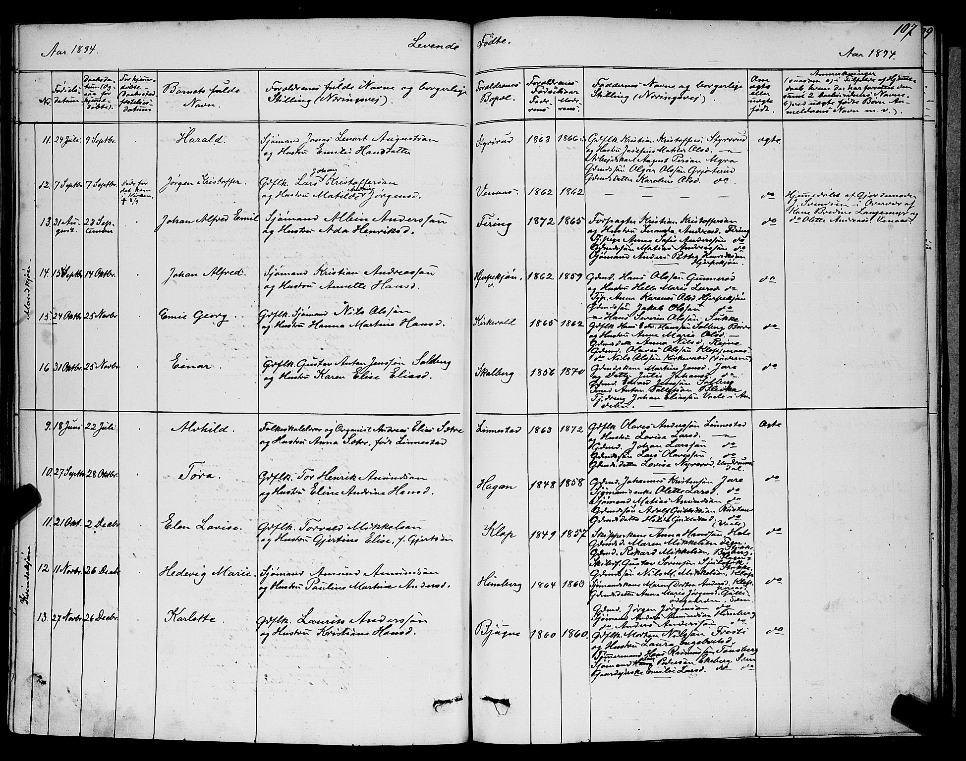 Ramnes kirkebøker, SAKO/A-314/G/Ga/L0003: Parish register (copy) no. I 3, 1870-1896, p. 107