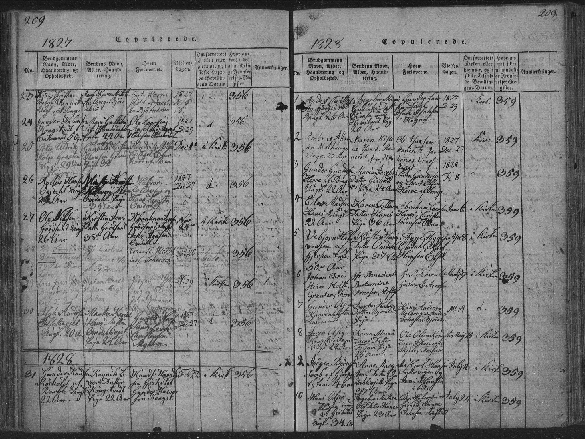 Solum kirkebøker, AV/SAKO-A-306/F/Fa/L0004: Parish register (official) no. I 4, 1814-1833, p. 209
