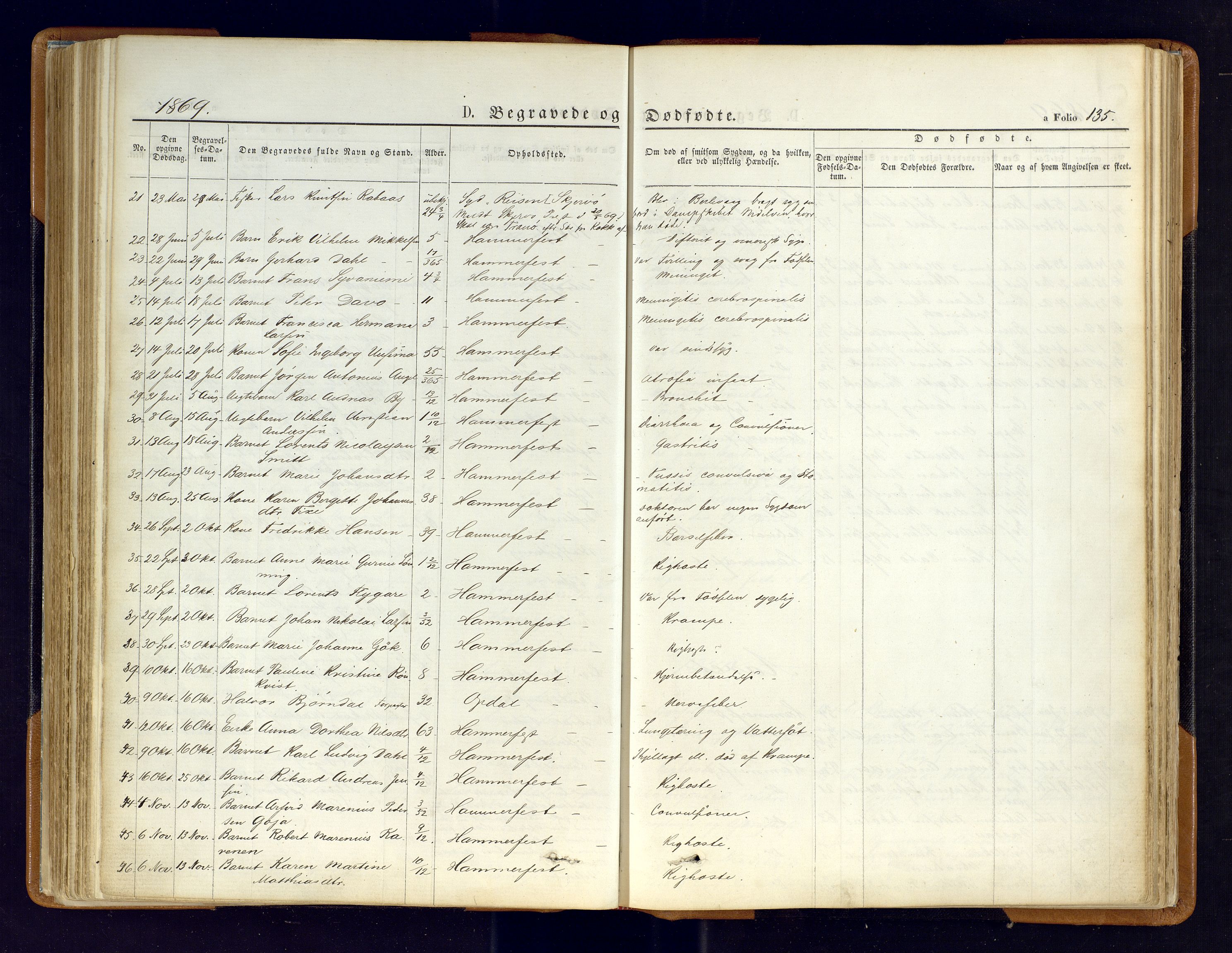 Hammerfest sokneprestkontor, AV/SATØ-S-1347/H/Ha/L0006.kirke: Parish register (official) no. 6, 1869-1877, p. 135