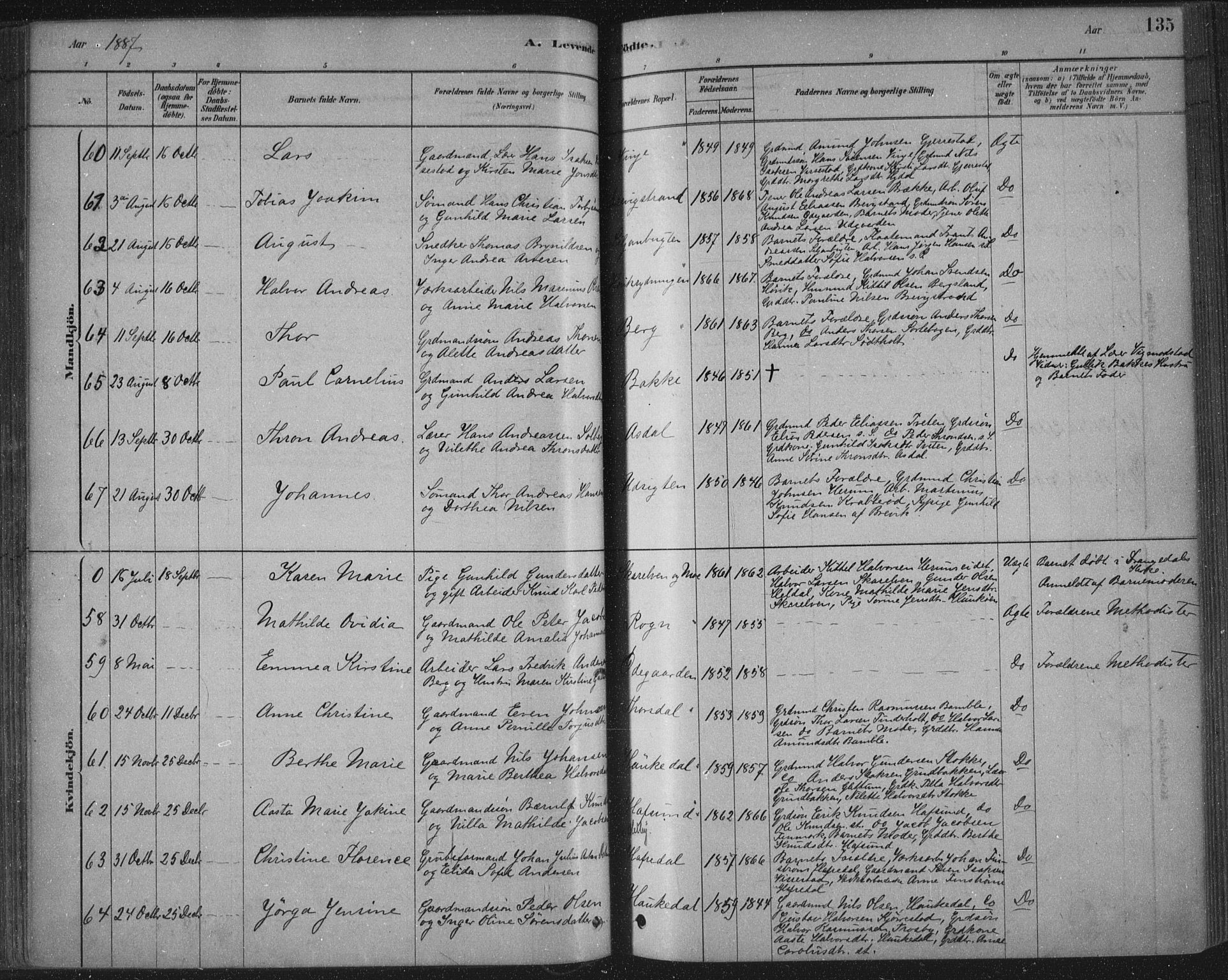 Bamble kirkebøker, AV/SAKO-A-253/F/Fa/L0007: Parish register (official) no. I 7, 1878-1888, p. 135