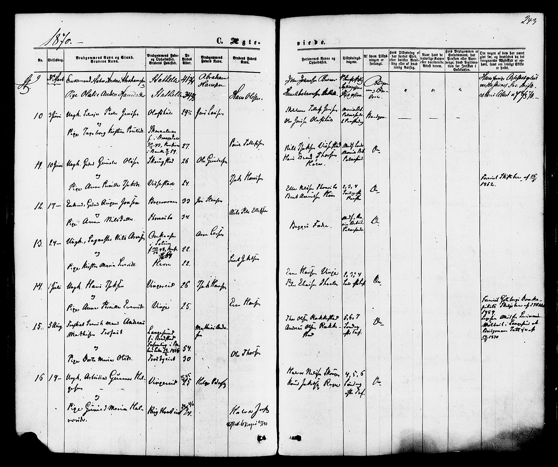 Bamble kirkebøker, SAKO/A-253/F/Fa/L0006: Parish register (official) no. I 6, 1869-1877, p. 243