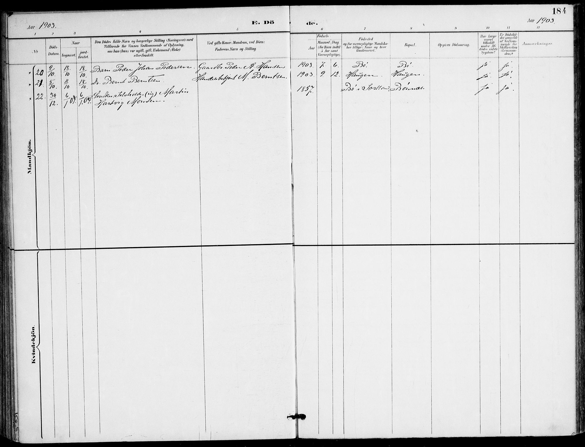 Ministerialprotokoller, klokkerbøker og fødselsregistre - Nordland, AV/SAT-A-1459/895/L1372: Parish register (official) no. 895A07, 1894-1914, p. 184