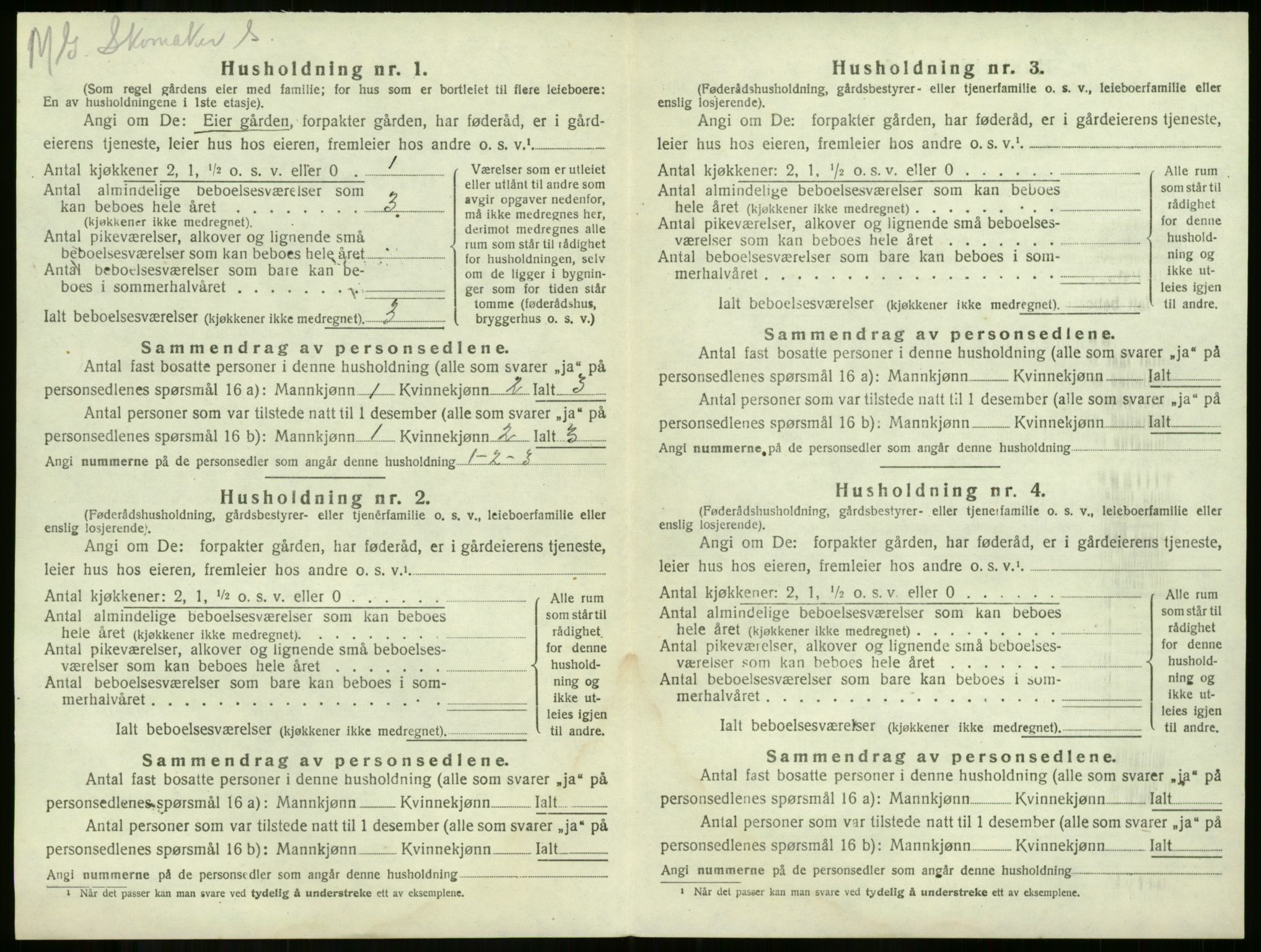 SAKO, 1920 census for Våle, 1920, p. 868