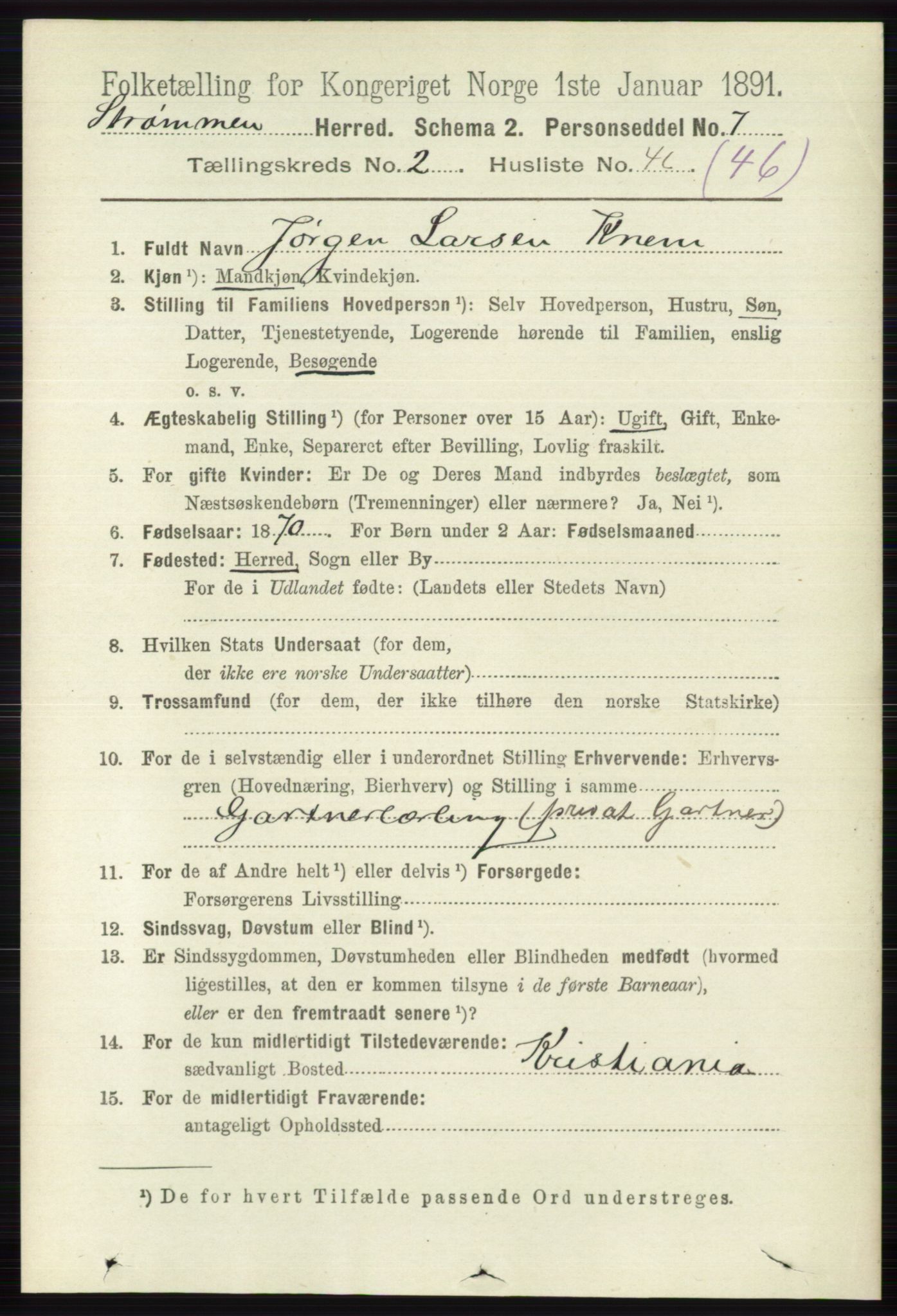 RA, 1891 census for 0711 Strømm, 1891, p. 971