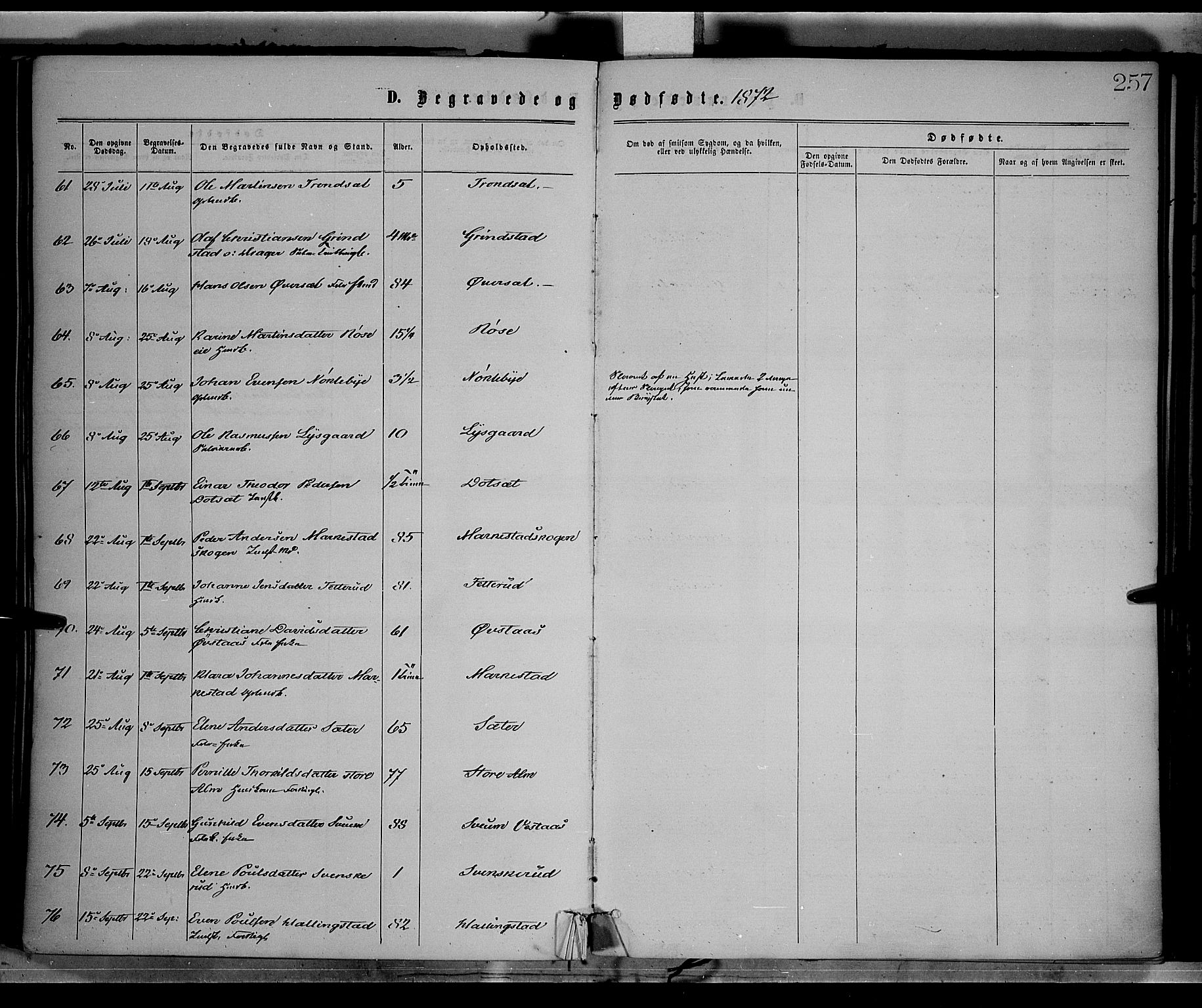 Vestre Toten prestekontor, AV/SAH-PREST-108/H/Ha/Haa/L0008: Parish register (official) no. 8, 1870-1877, p. 257