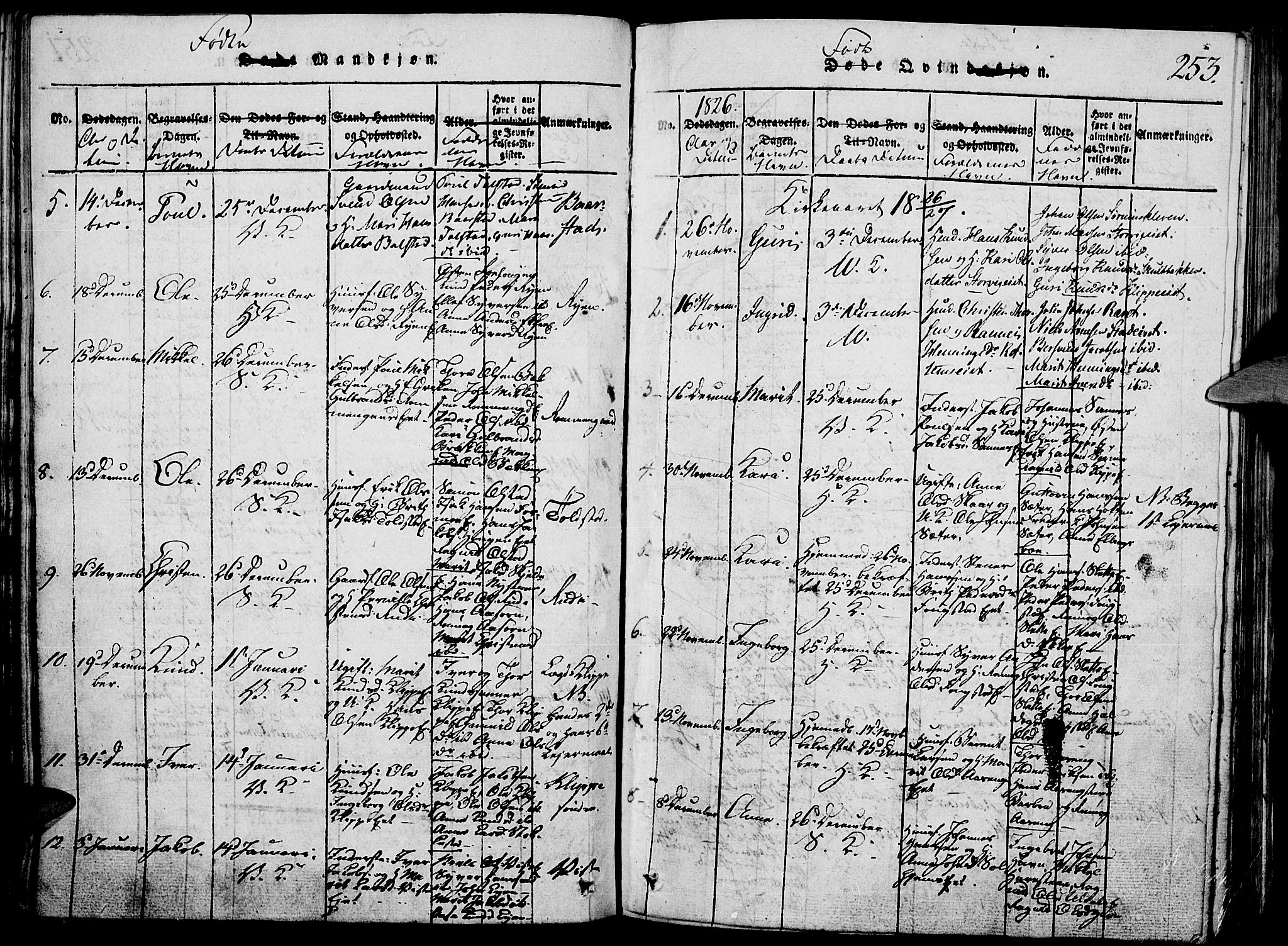 Vågå prestekontor, SAH/PREST-076/H/Ha/Hab/L0001: Parish register (copy) no. 1, 1815-1827, p. 252-253