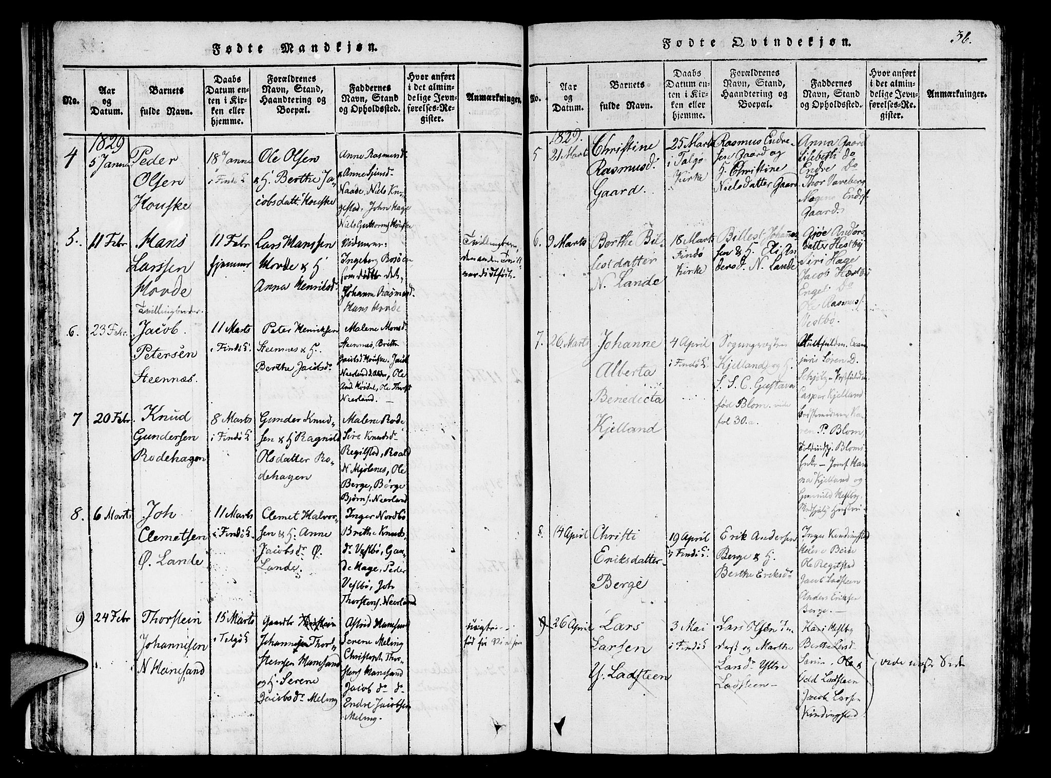 Finnøy sokneprestkontor, AV/SAST-A-101825/H/Ha/Haa/L0006: Parish register (official) no. A 6, 1816-1846, p. 36