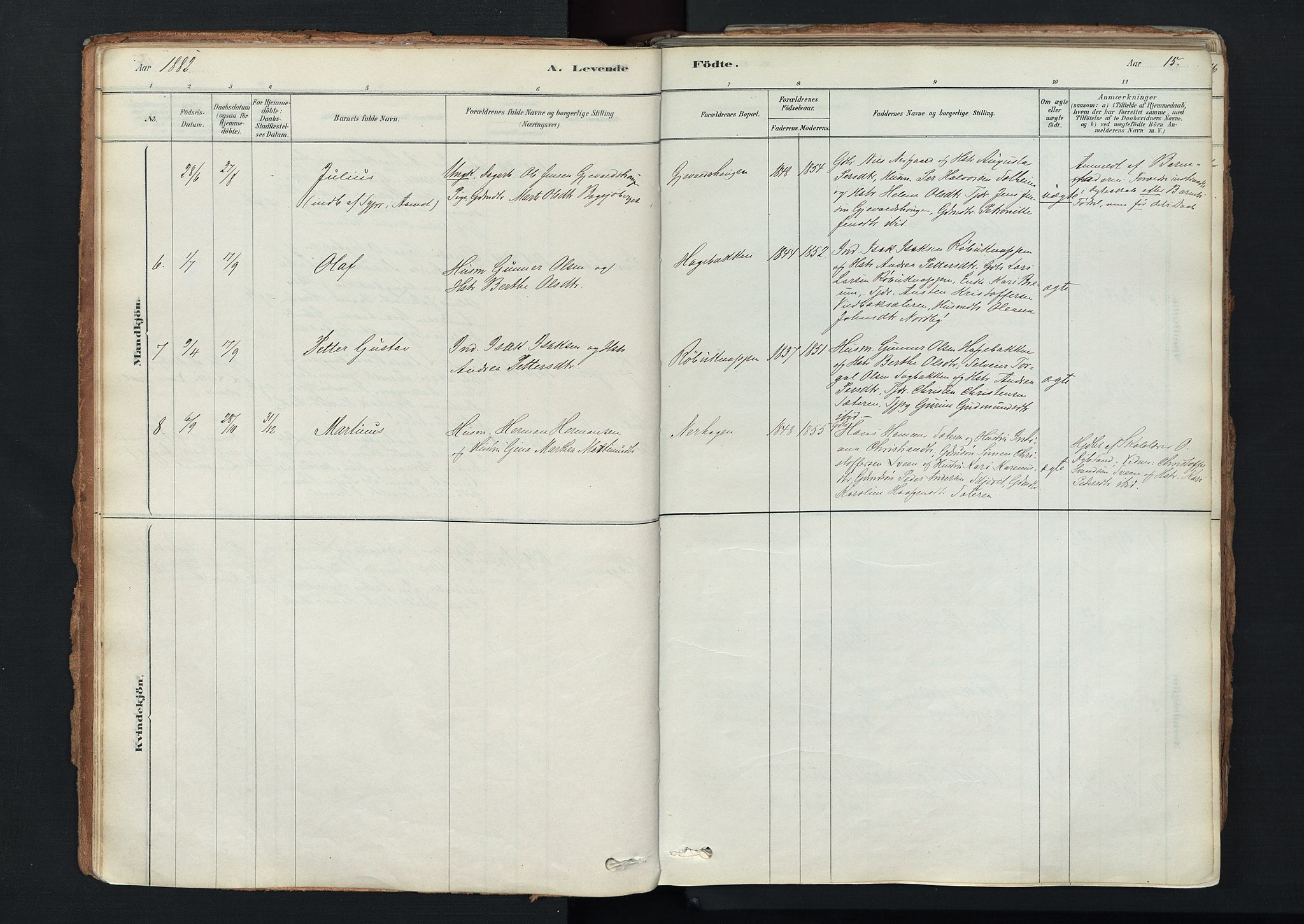 Trysil prestekontor, SAH/PREST-046/H/Ha/Haa/L0011: Parish register (official) no. 11, 1878-1912, p. 15