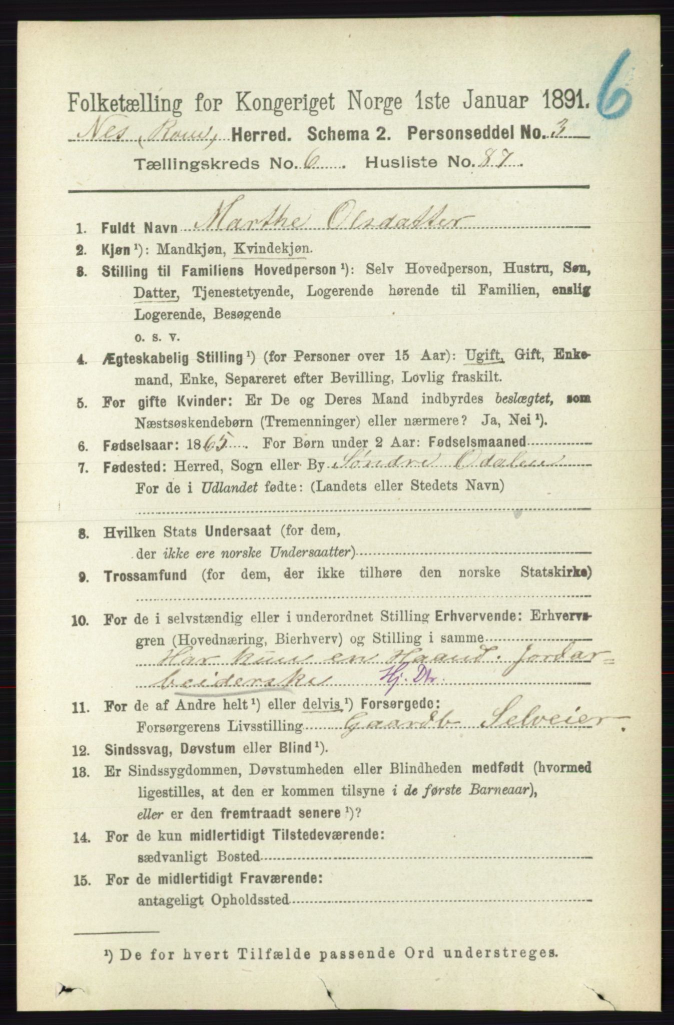 RA, 1891 census for 0236 Nes, 1891, p. 3918
