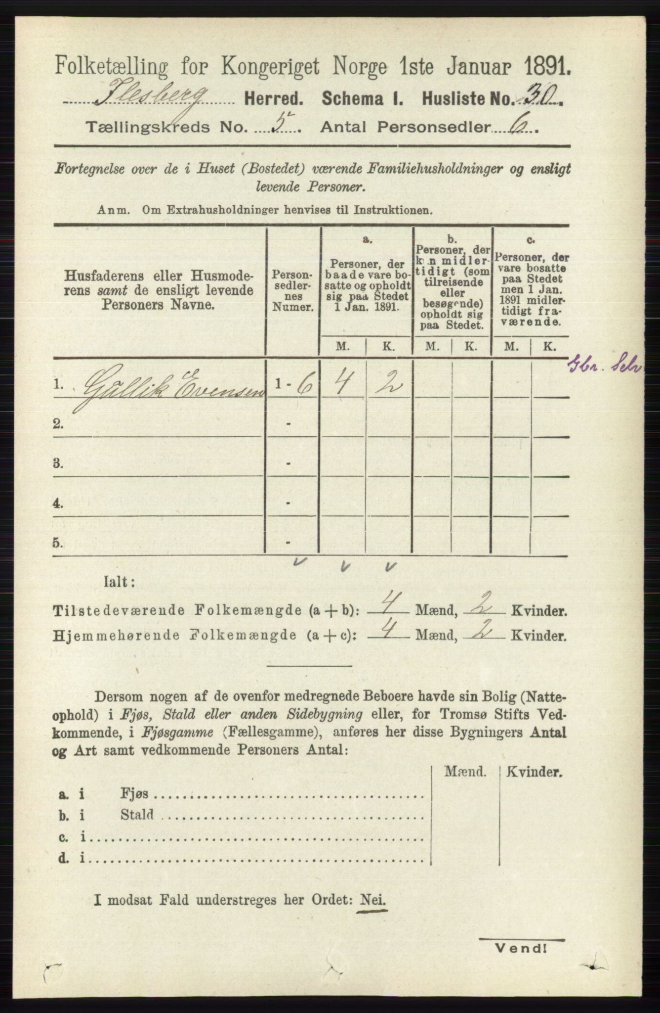 RA, 1891 census for 0631 Flesberg, 1891, p. 717