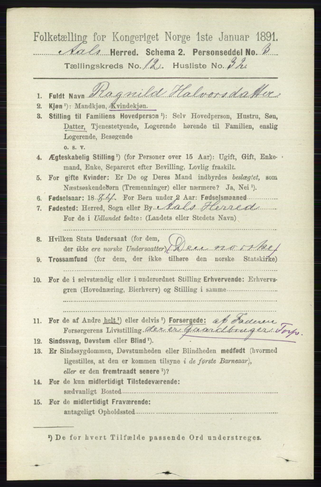 RA, 1891 census for 0619 Ål, 1891, p. 3193