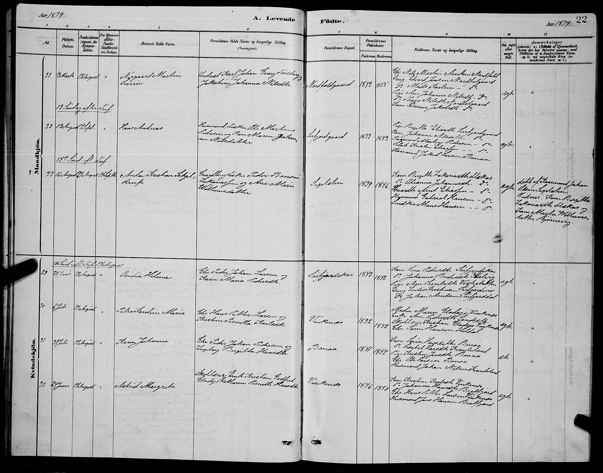 Ministerialprotokoller, klokkerbøker og fødselsregistre - Nordland, AV/SAT-A-1459/853/L0776: Parish register (copy) no. 853C04, 1878-1889, p. 22