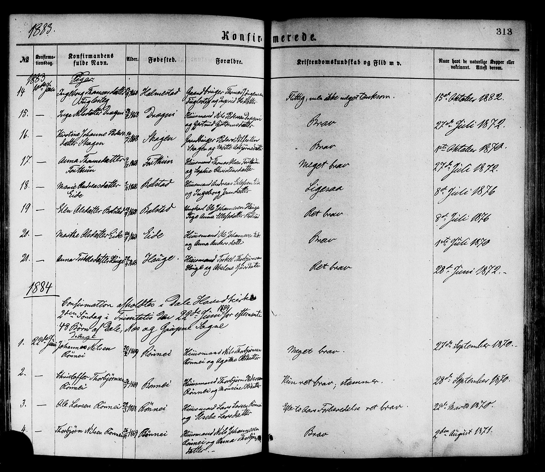 Luster sokneprestembete, SAB/A-81101/H/Haa/Haaa/L0010: Parish register (official) no. A 10, 1871-1886, p. 313