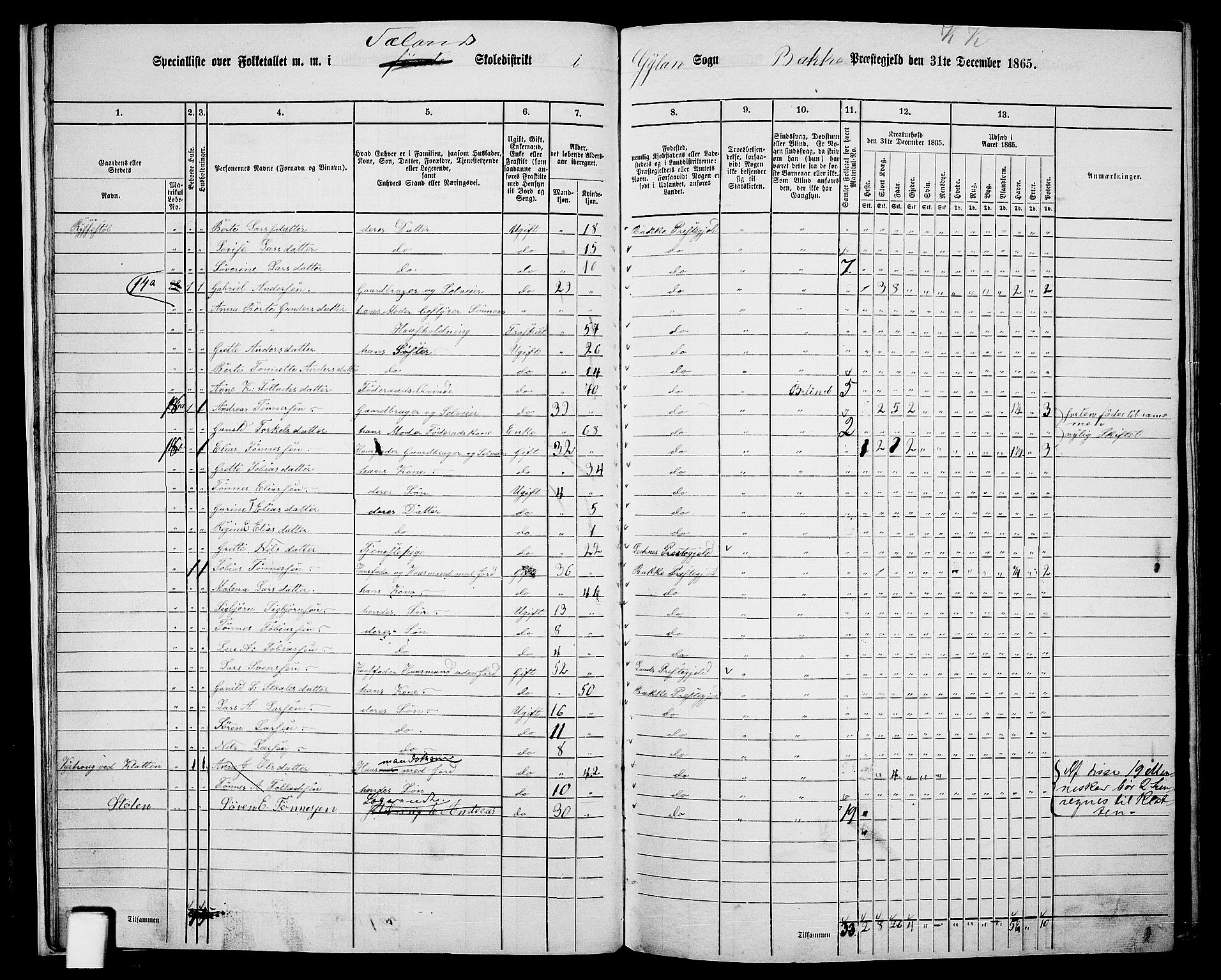 RA, 1865 census for Bakke, 1865, p. 19