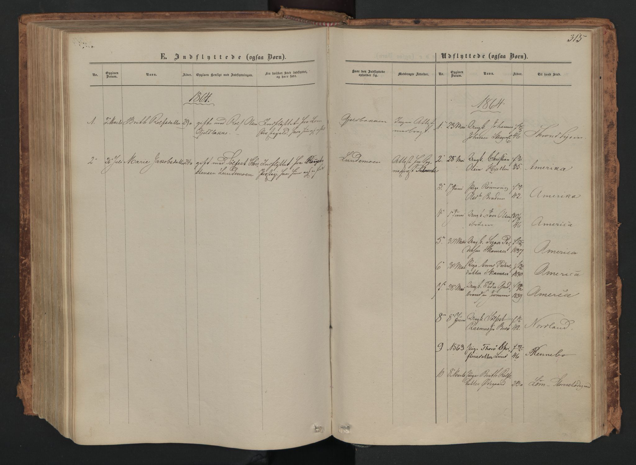 Skjåk prestekontor, SAH/PREST-072/H/Ha/Haa/L0001: Parish register (official) no. 1, 1863-1879, p. 315