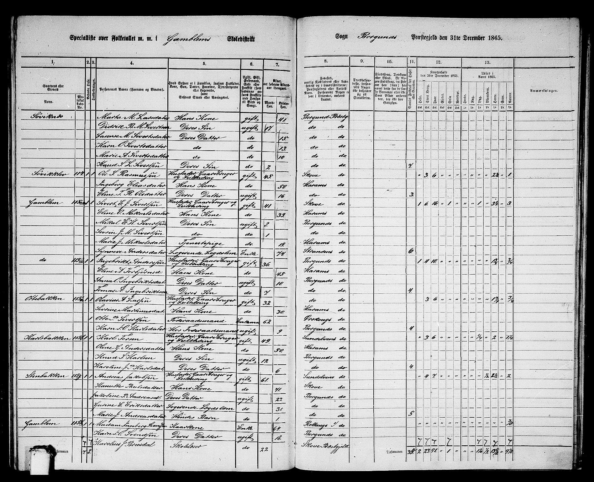 RA, 1865 census for Borgund, 1865, p. 233