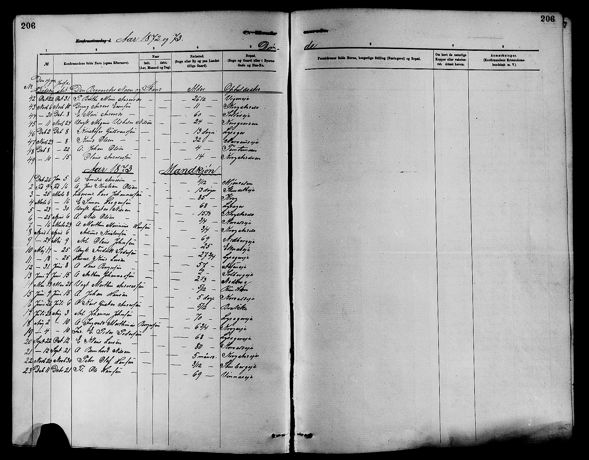Nedre Eiker kirkebøker, SAKO/A-612/F/Fa/L0001: Parish register (official) no. 1, 1853-1877, p. 206