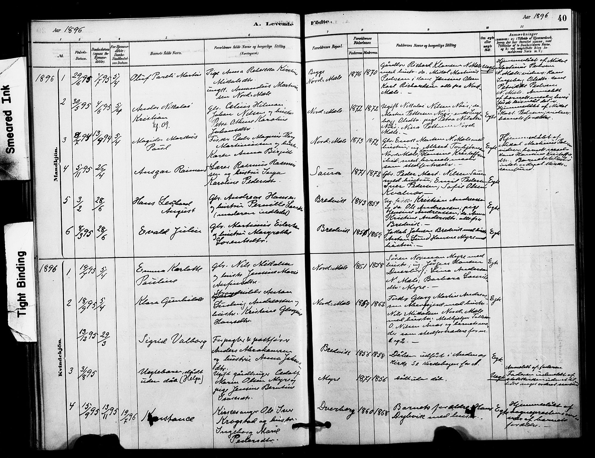 Ministerialprotokoller, klokkerbøker og fødselsregistre - Nordland, AV/SAT-A-1459/897/L1399: Parish register (official) no. 897C06, 1881-1896, p. 40