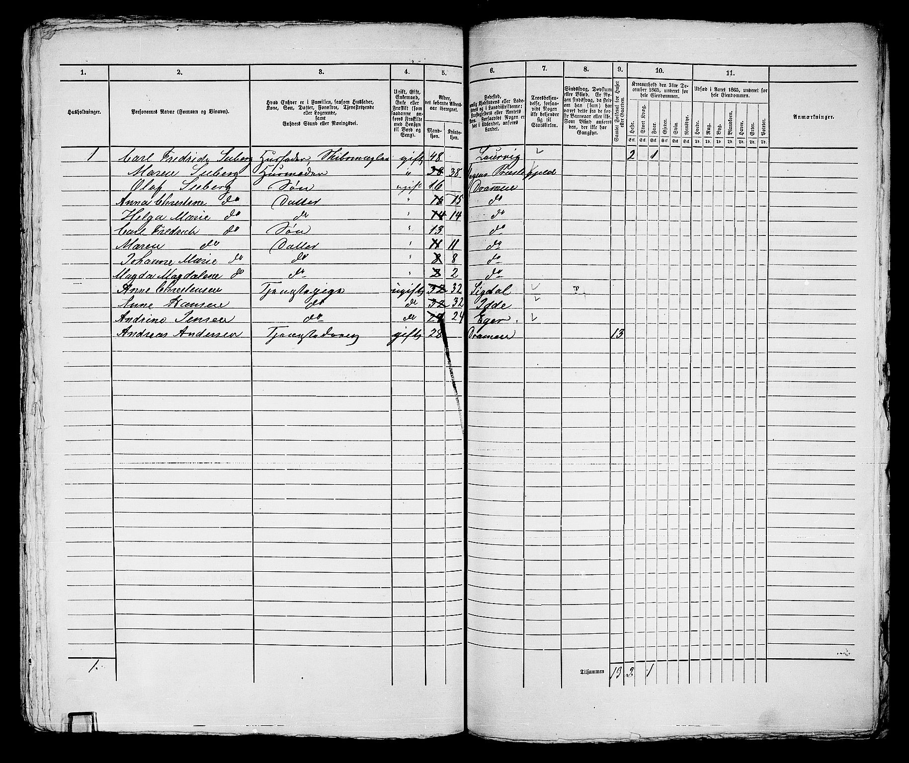 RA, 1865 census for Strømsø in Drammen, 1865, p. 530