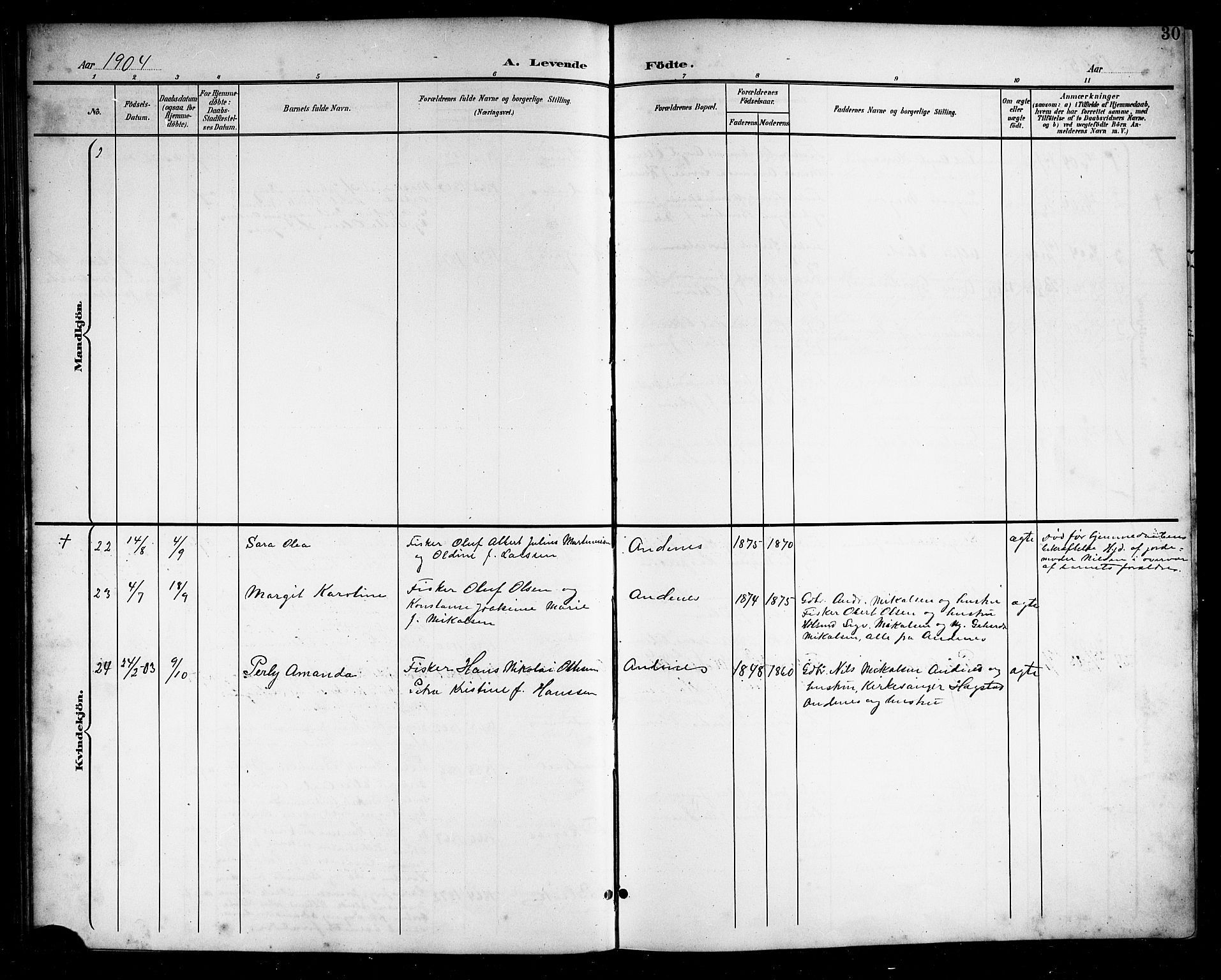 Ministerialprotokoller, klokkerbøker og fødselsregistre - Nordland, SAT/A-1459/899/L1449: Parish register (copy) no. 899C04, 1900-1918, p. 30