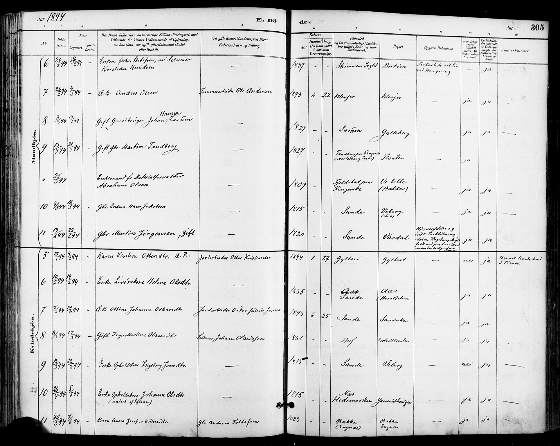 Sande Kirkebøker, SAKO/A-53/F/Fa/L0007: Parish register (official) no. 7, 1888-1903, p. 305