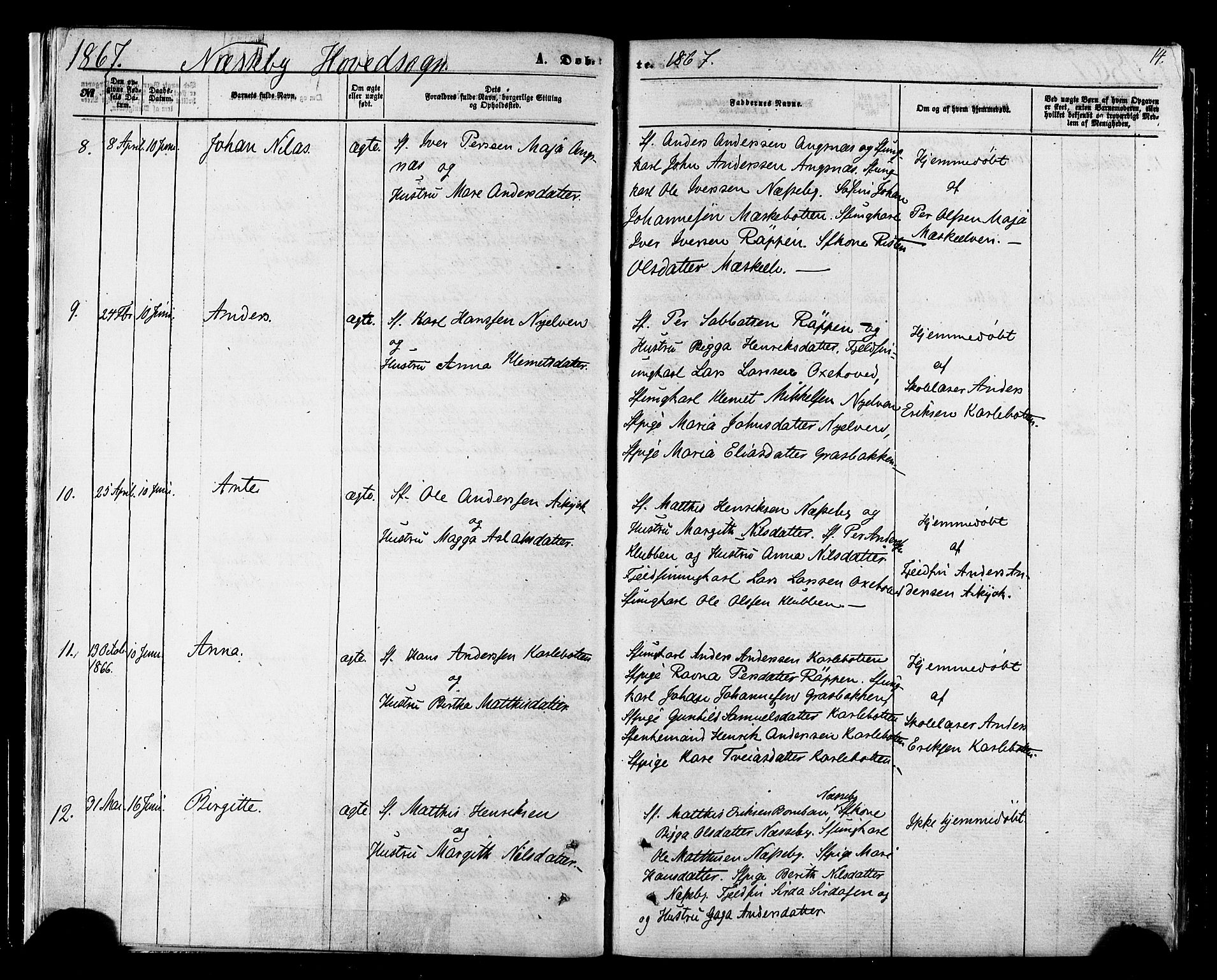 Nesseby sokneprestkontor, AV/SATØ-S-1330/H/Ha/L0003kirke: Parish register (official) no. 3 /1, 1865-1876, p. 14