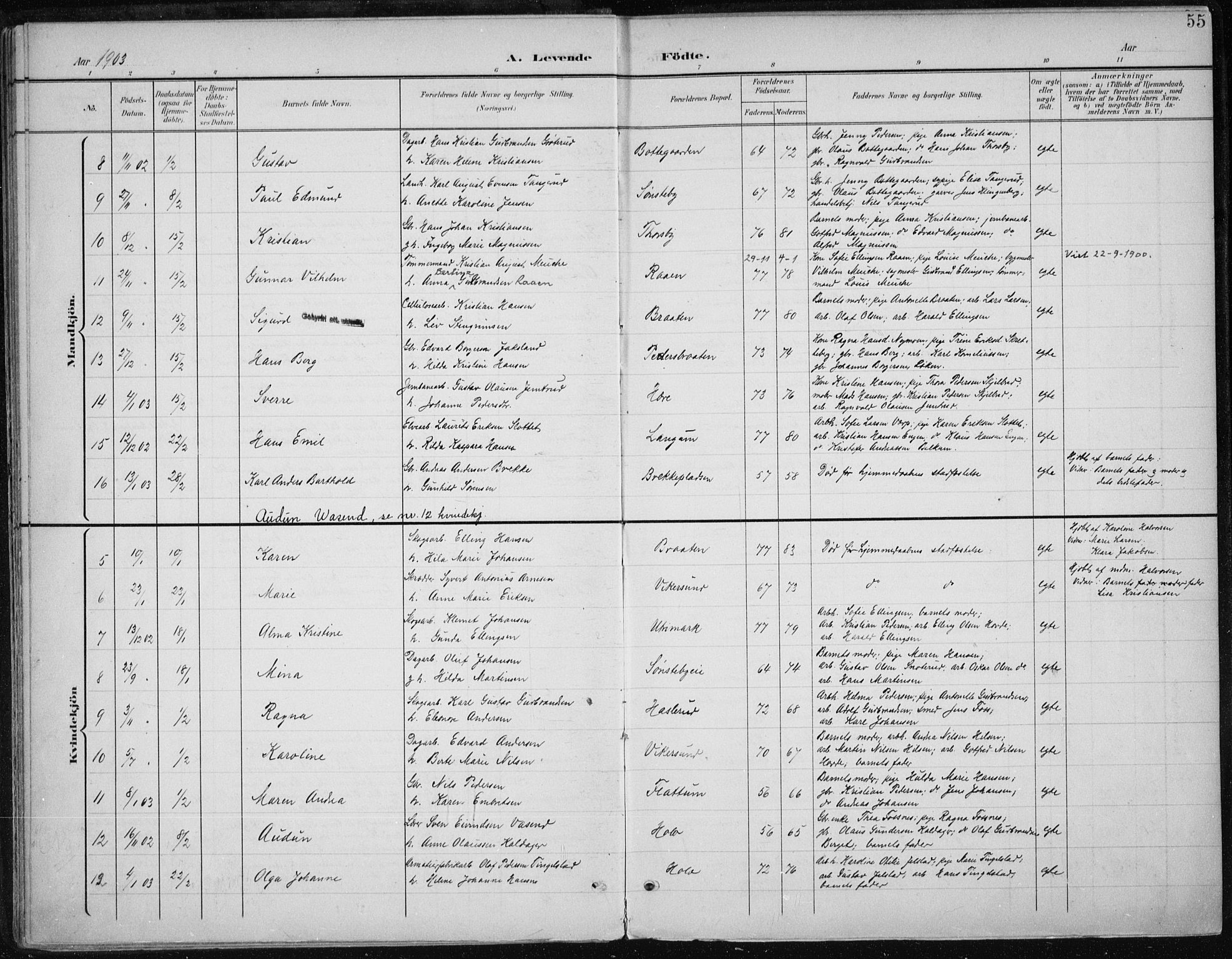 Modum kirkebøker, AV/SAKO-A-234/F/Fa/L0013: Parish register (official) no. 13, 1899-1907, p. 55