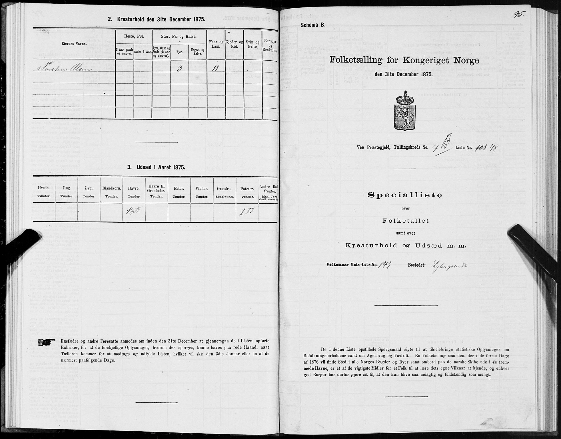 SAT, 1875 census for 1541P Veøy, 1875, p. 3095