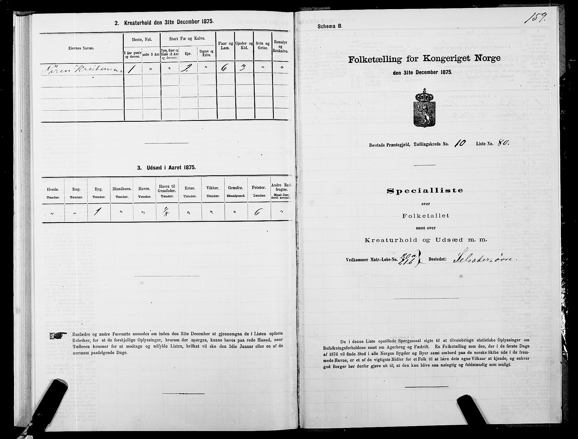 SATØ, 1875 census for 1917P Ibestad, 1875, p. 7159