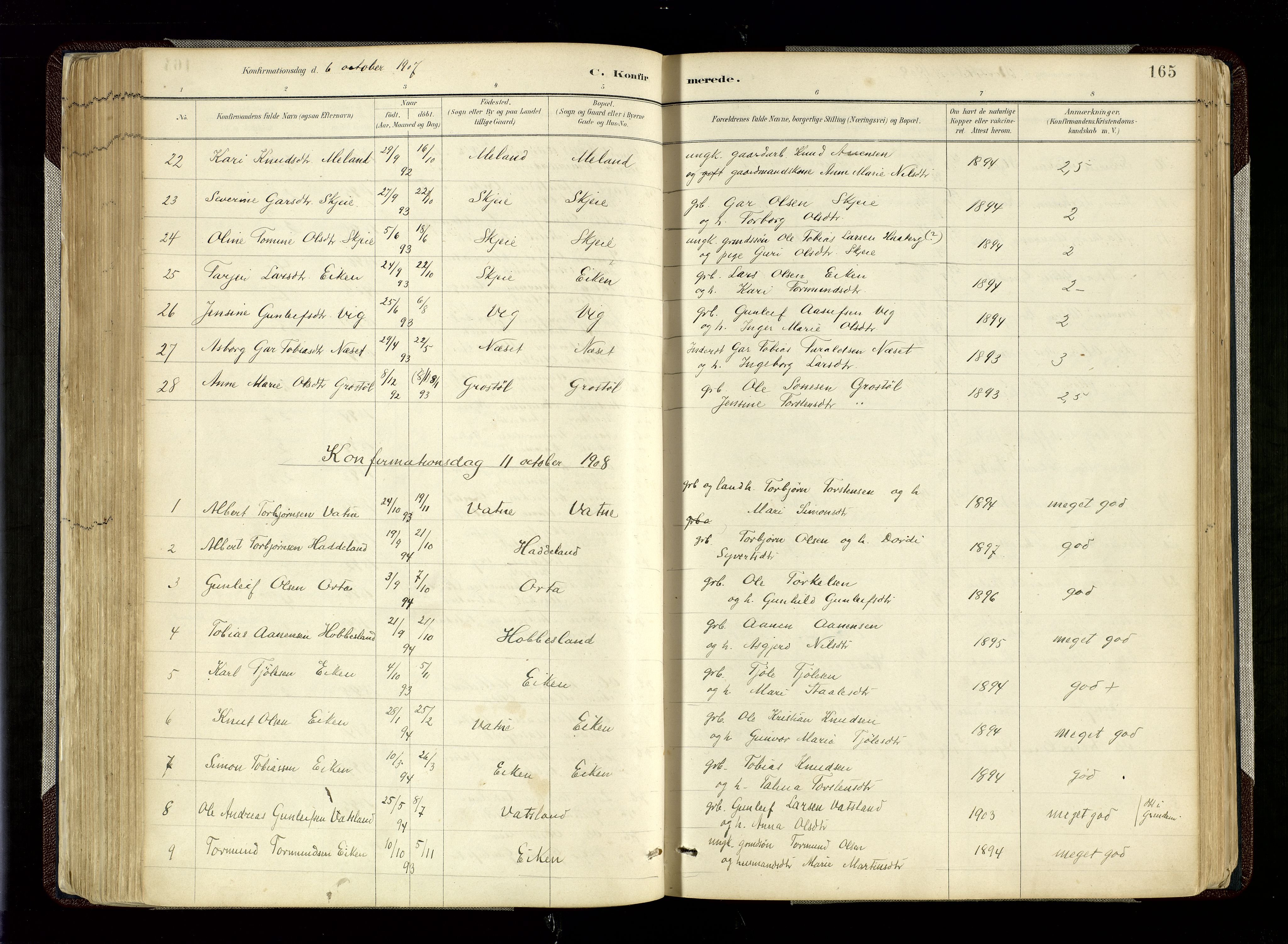 Hægebostad sokneprestkontor, SAK/1111-0024/F/Fa/Fab/L0004: Parish register (official) no. A 4, 1887-1929, p. 165