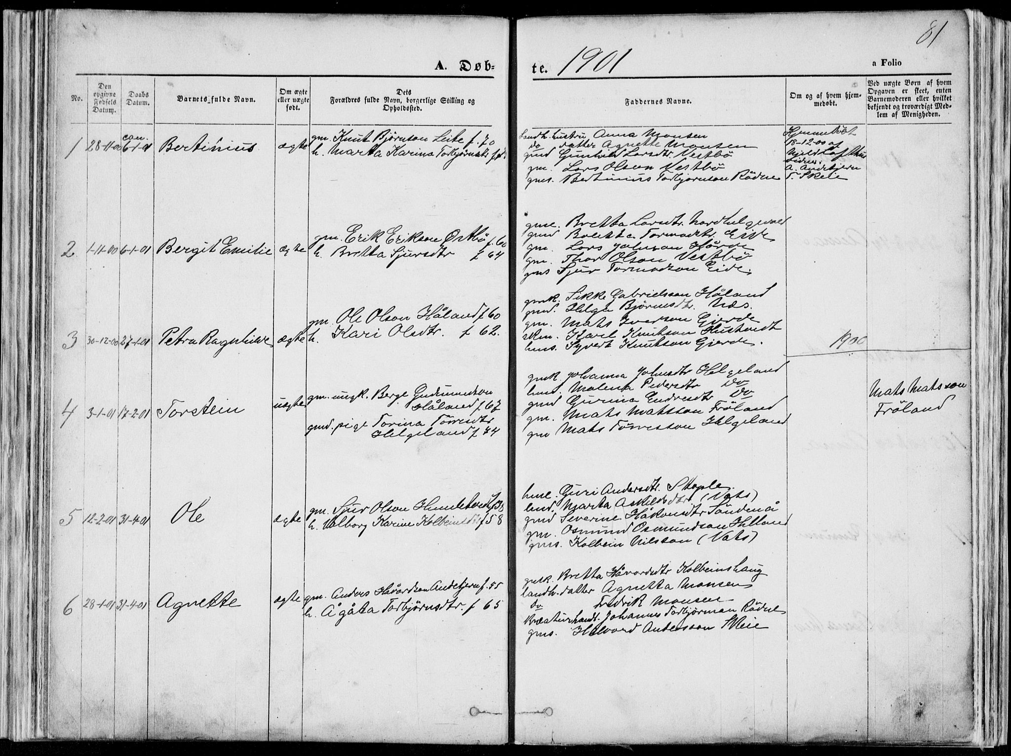 Vikedal sokneprestkontor, SAST/A-101840/01/V: Parish register (copy) no. B 10, 1864-1926, p. 81