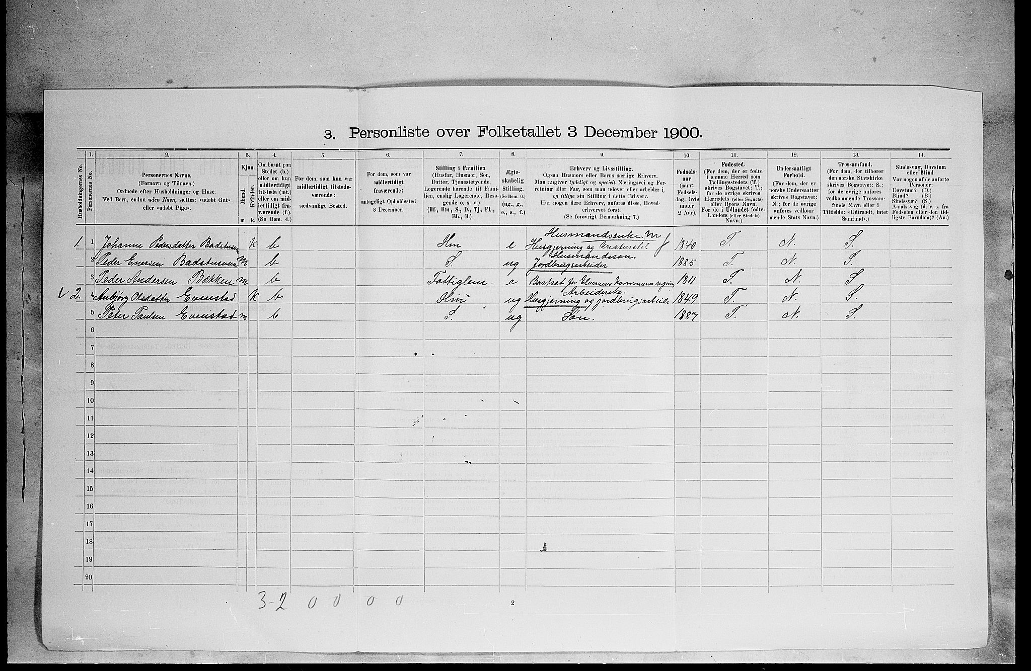 SAH, 1900 census for Elverum, 1900, p. 2957